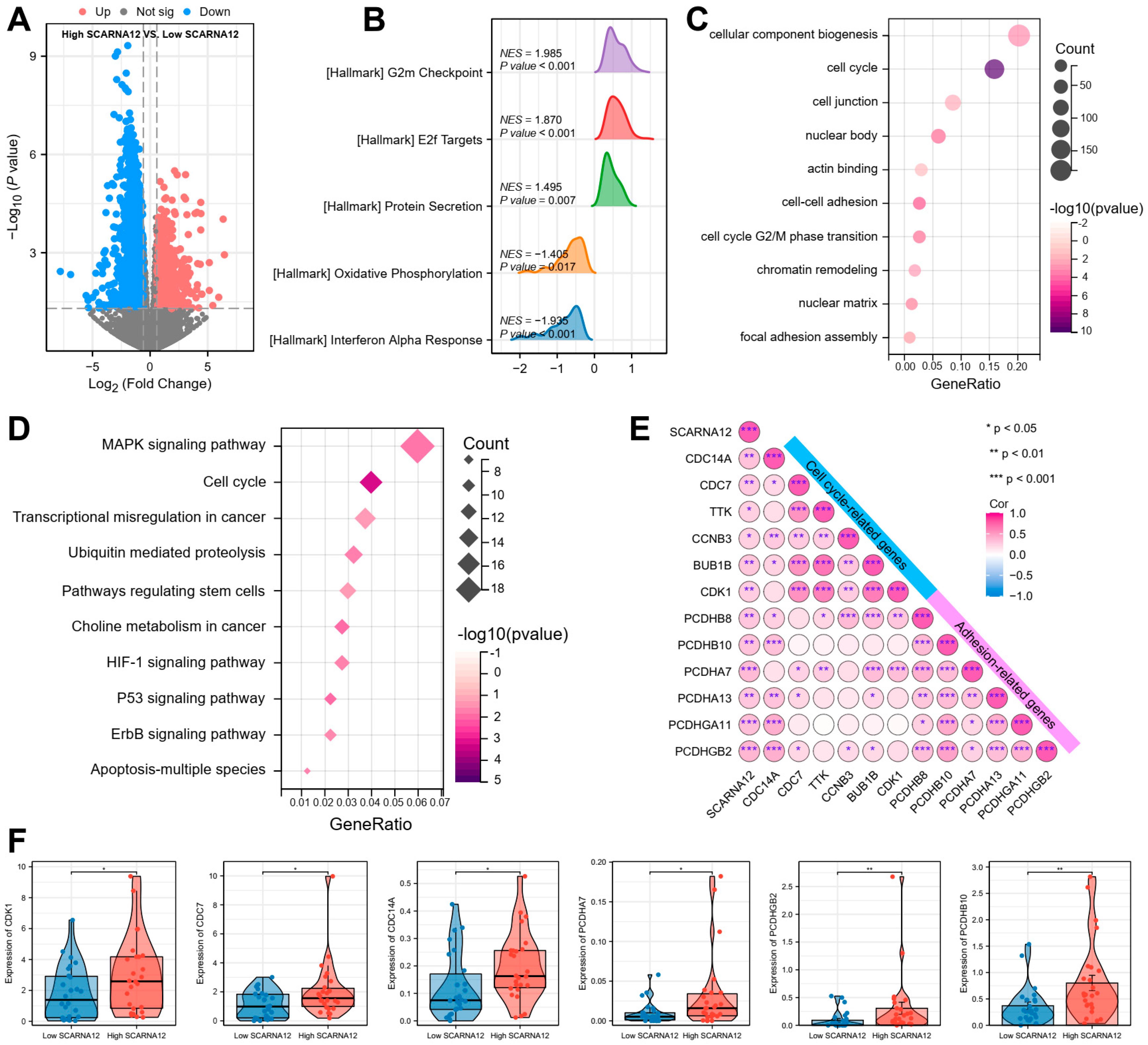 Cancers 16 00483 g002 Cancers 16 00483 g002