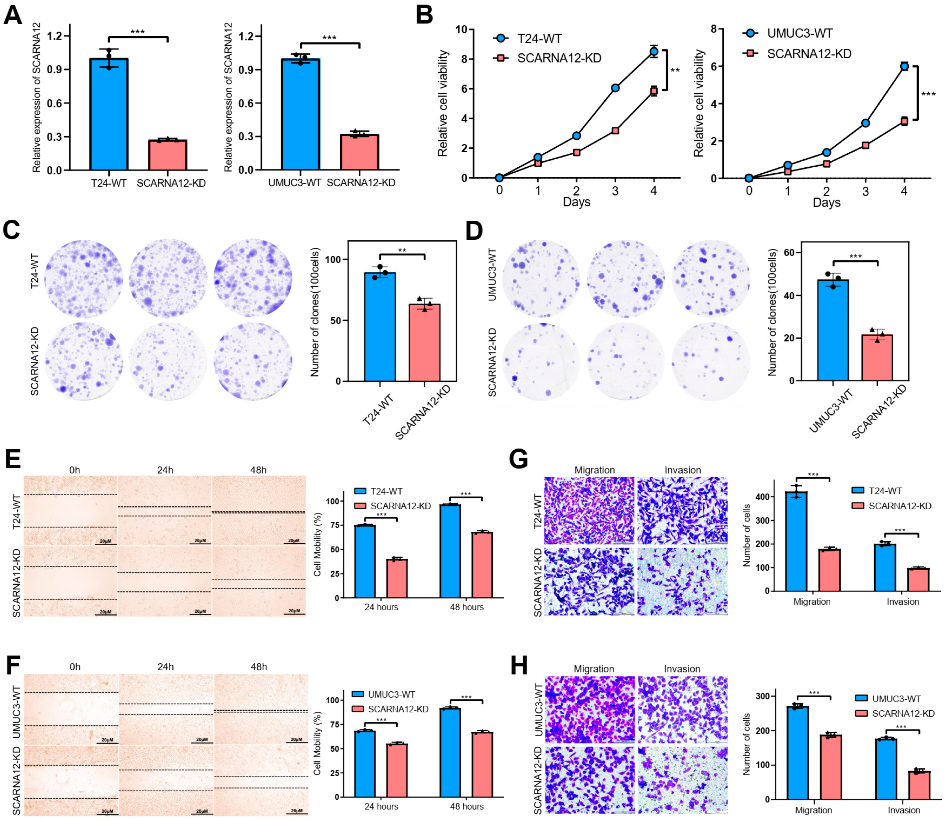 Cancers 16 00483 g004 Cancers 16 00483 g004