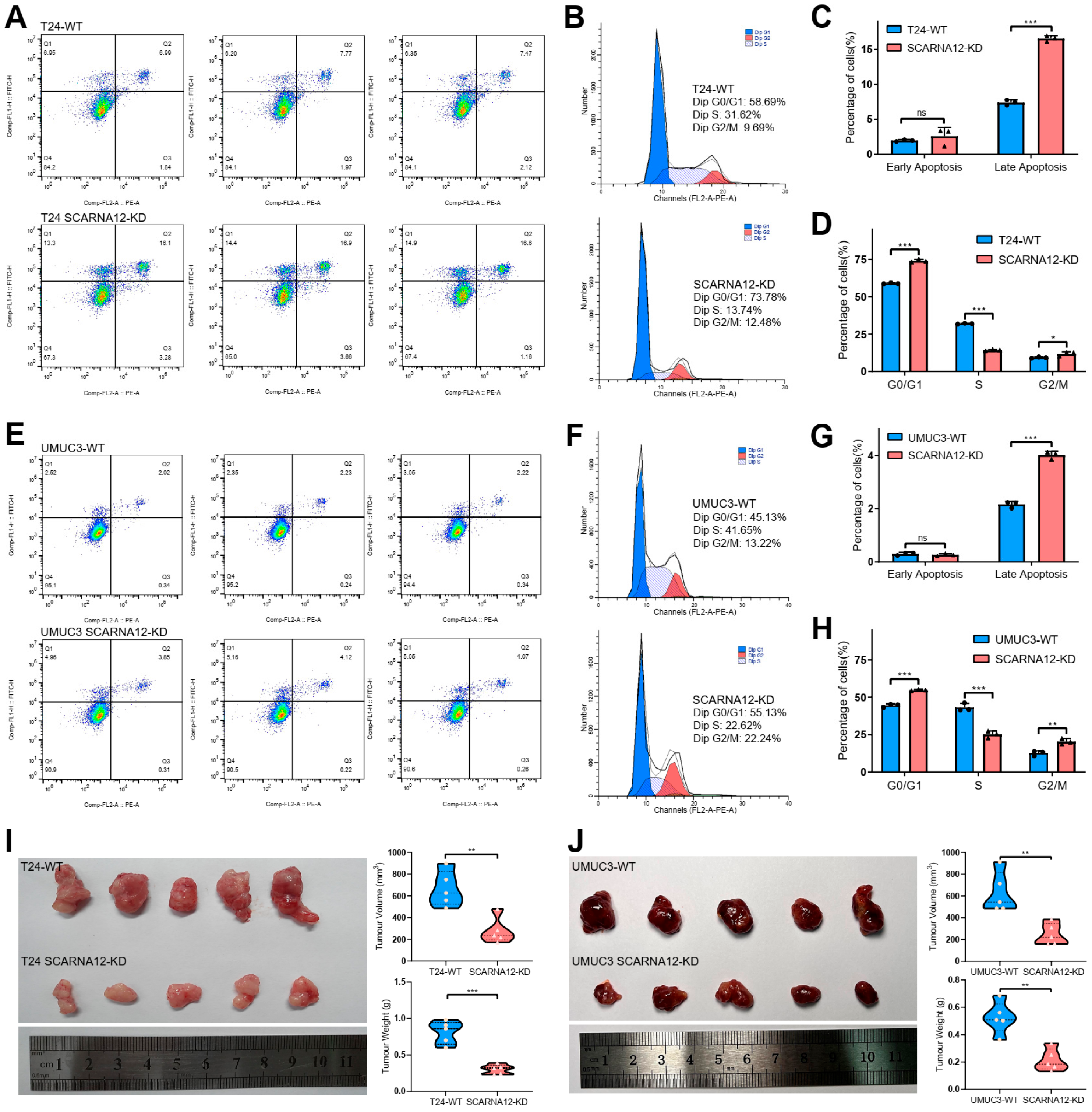 Cancers 16 00483 g005 Cancers 16 00483 g005