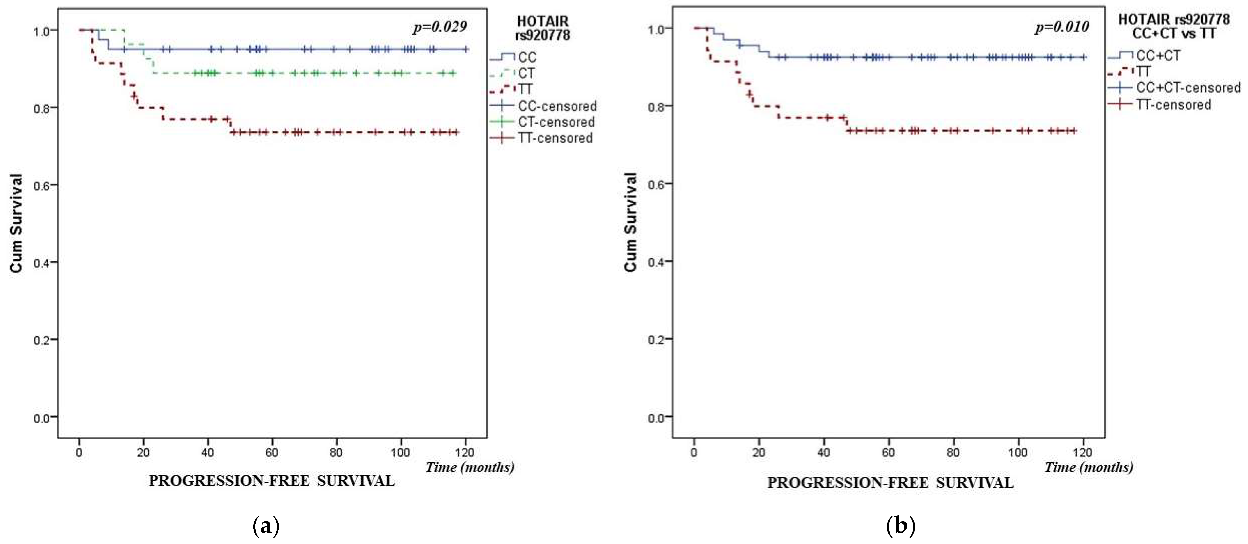Cancers 16 00485 g001