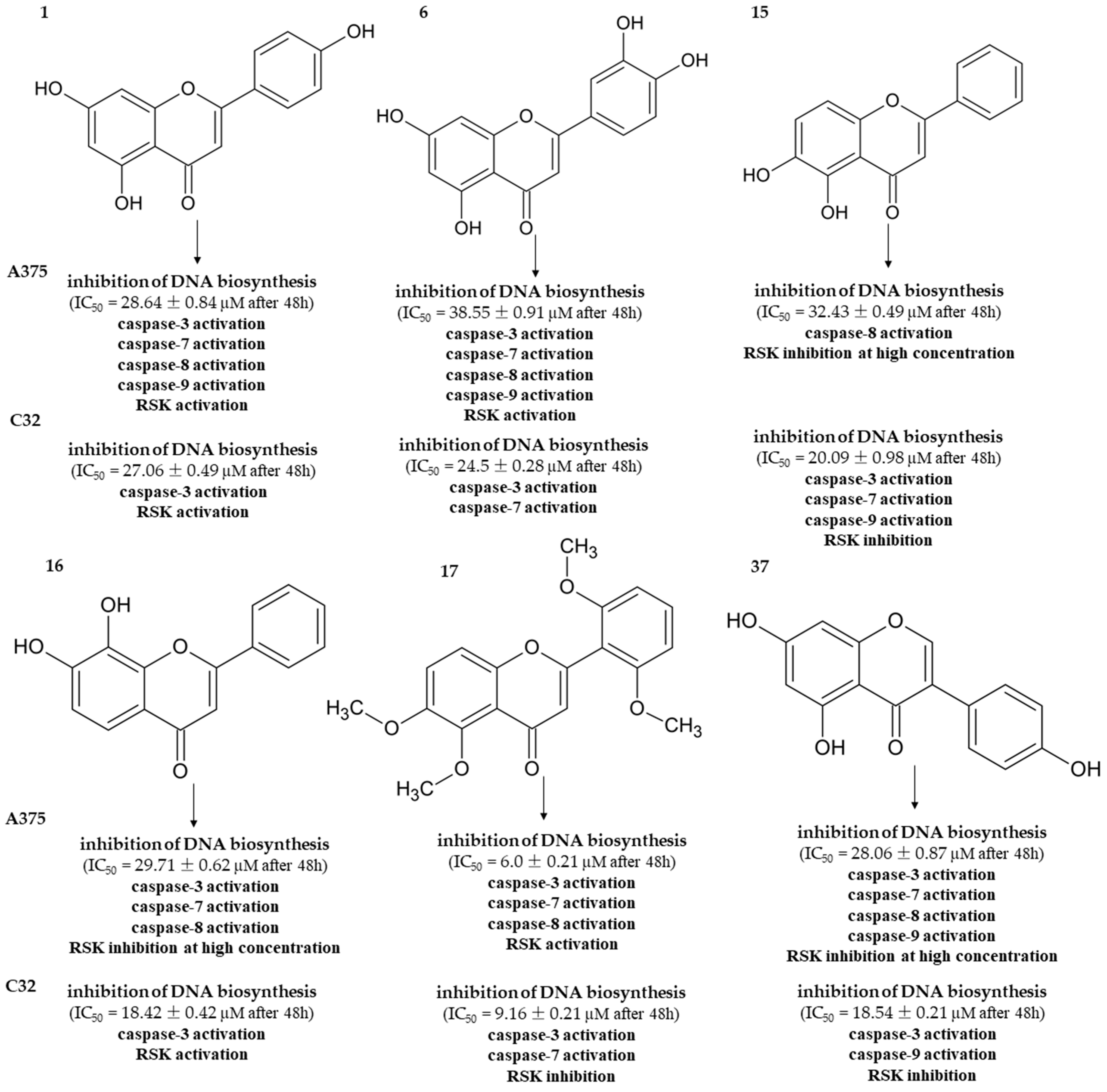 Cancers 16 00487 g005
