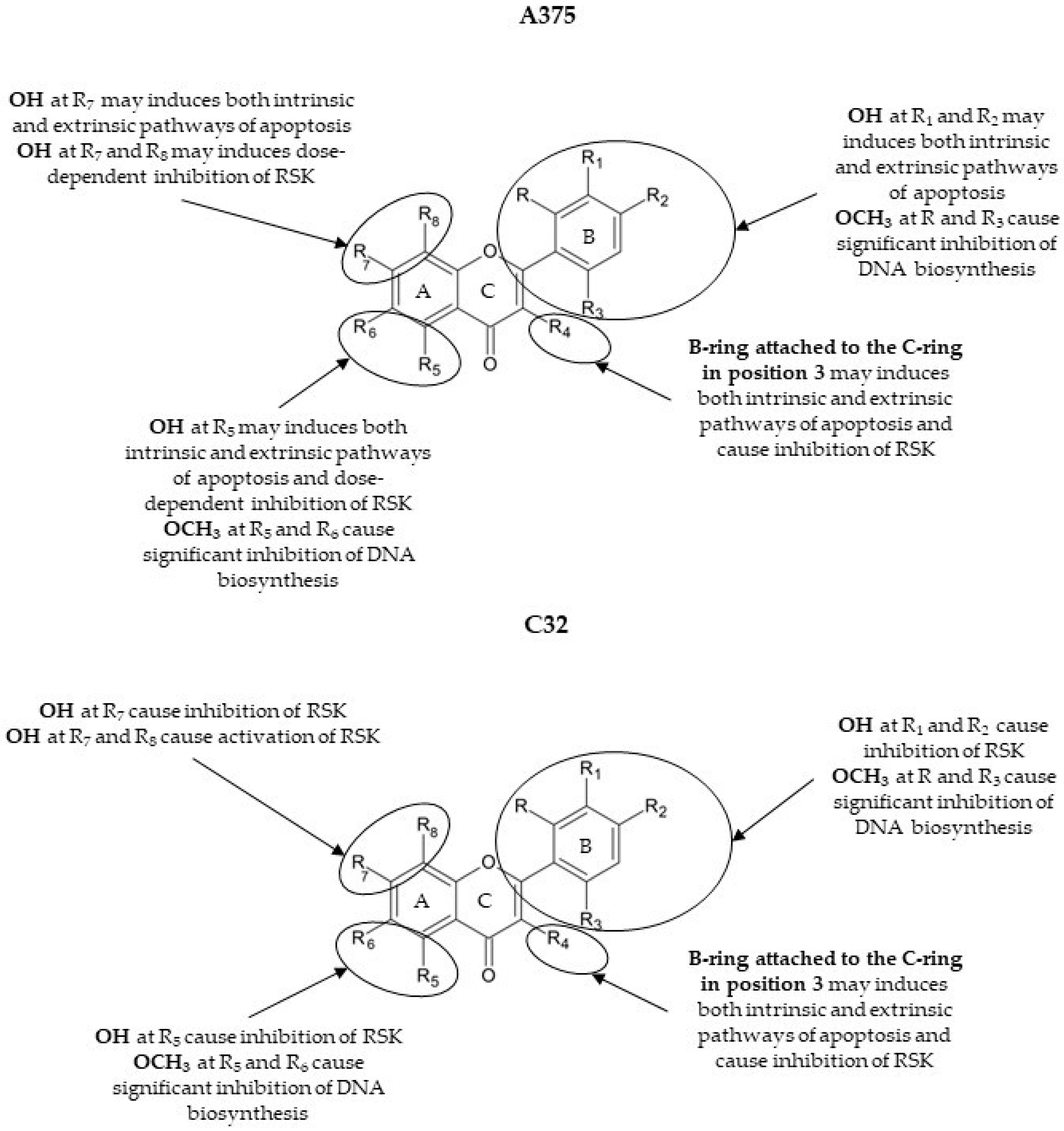 Cancers 16 00487 g006
