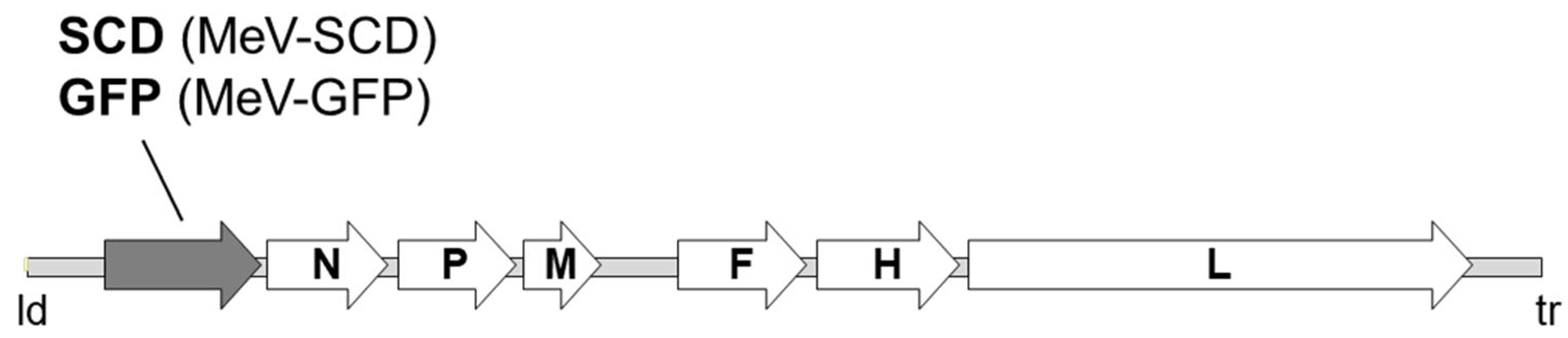 Cancers 16 00488 g001