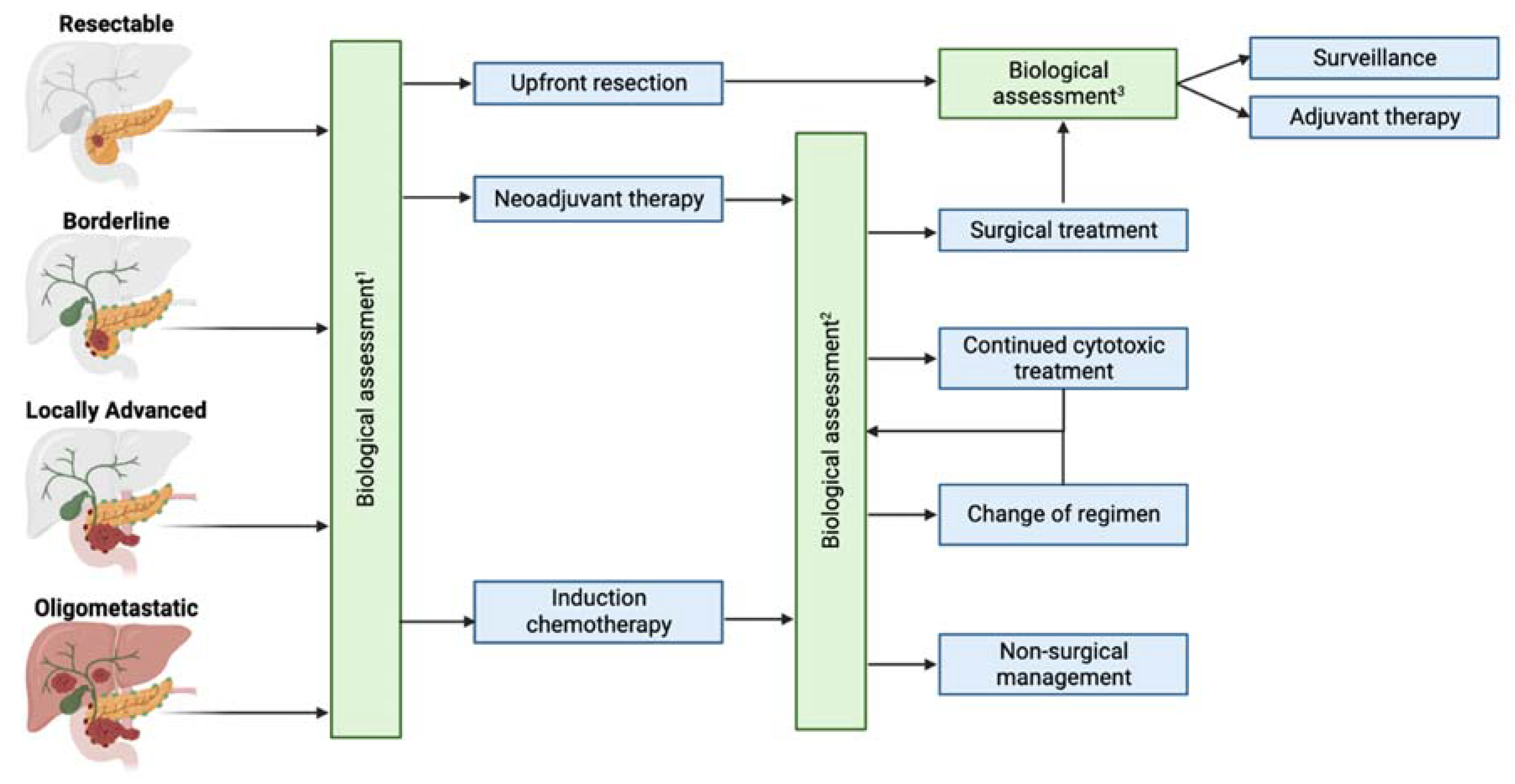 Cancers 16 00489 g002