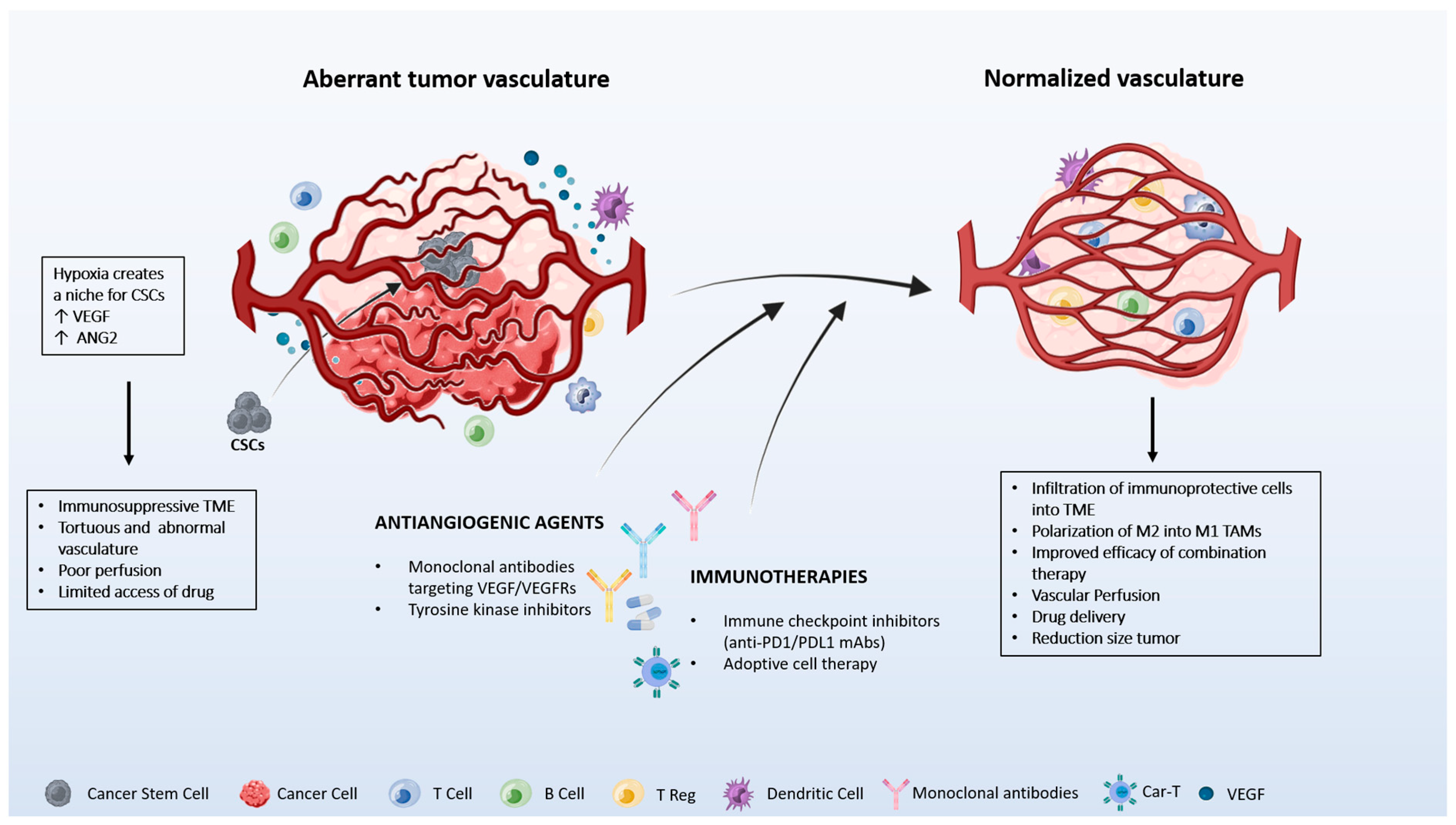 Cancers 16 00491 g002
