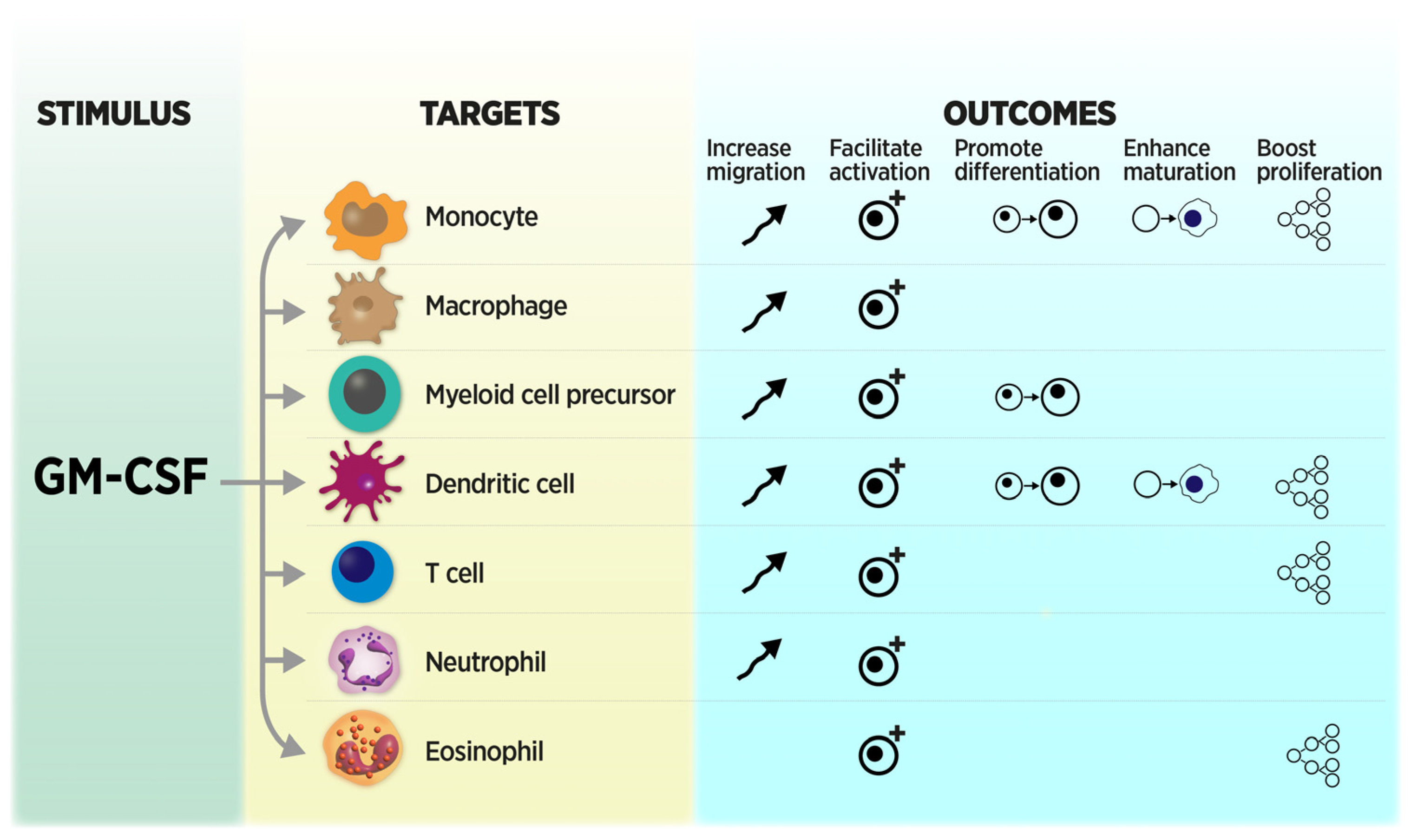 Cancers 16 00501 g003