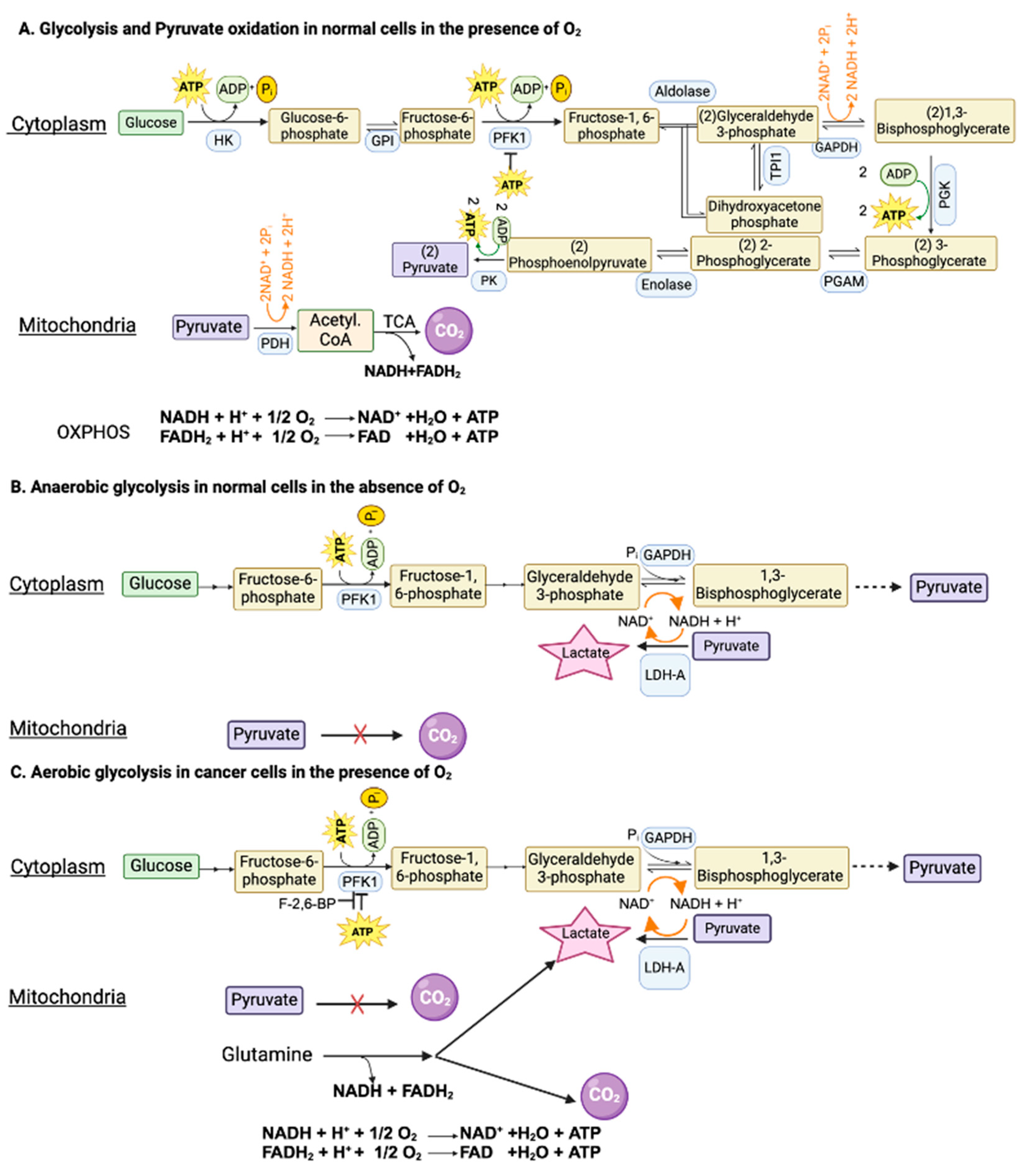 Cancers 16 00504 g001 Cancers 16 00504 g001