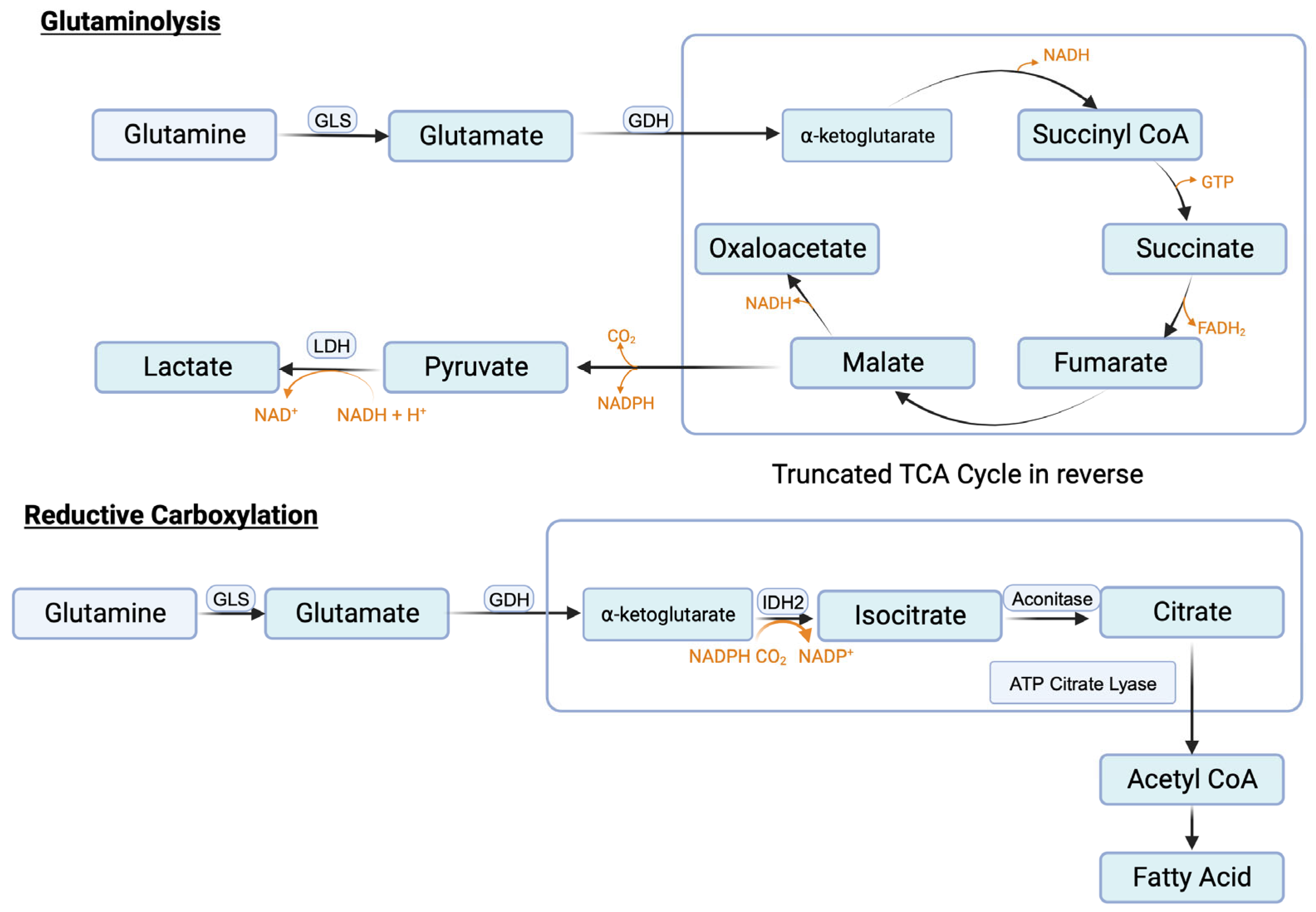 Cancers 16 00504 g004 Cancers 16 00504 g004