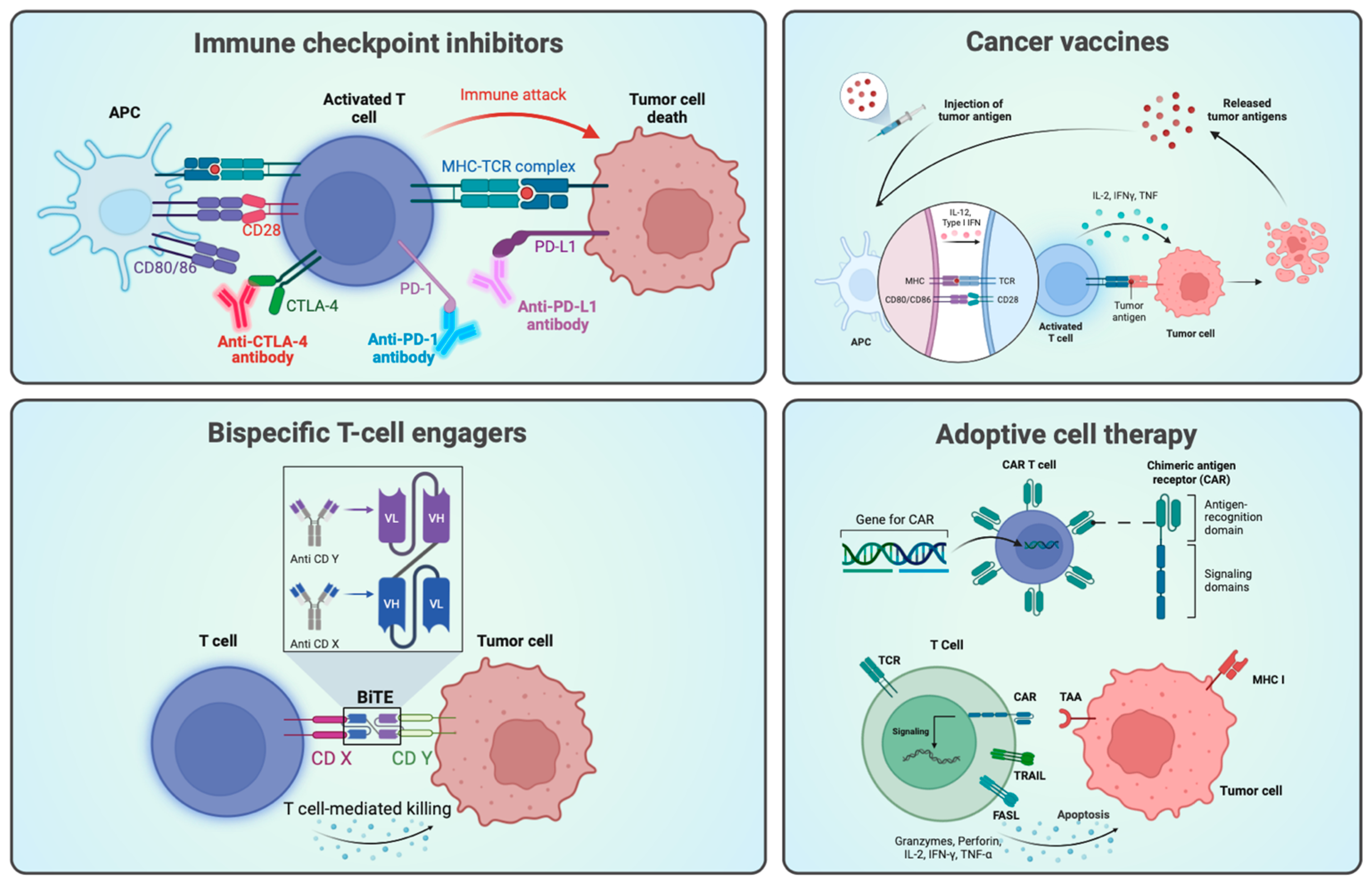 Cancers 16 00505 g001
