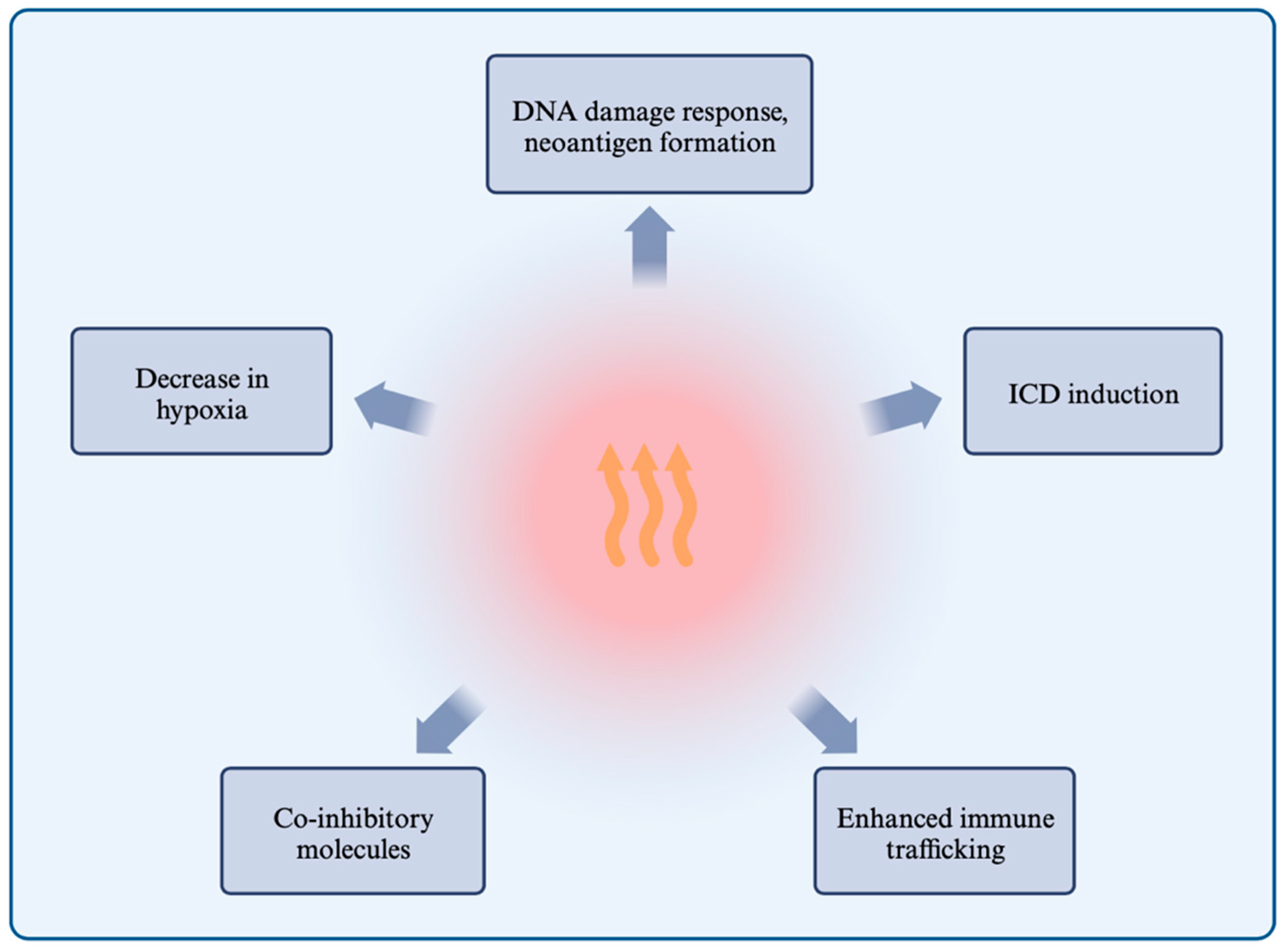 Cancers 16 00505 g004