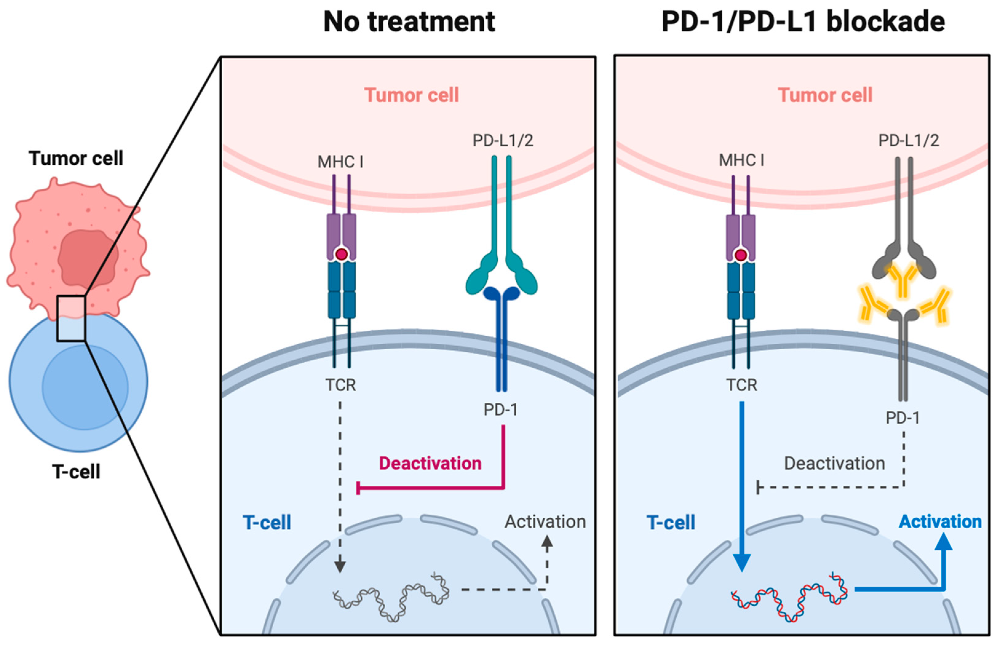 Cancers 16 00505 g006