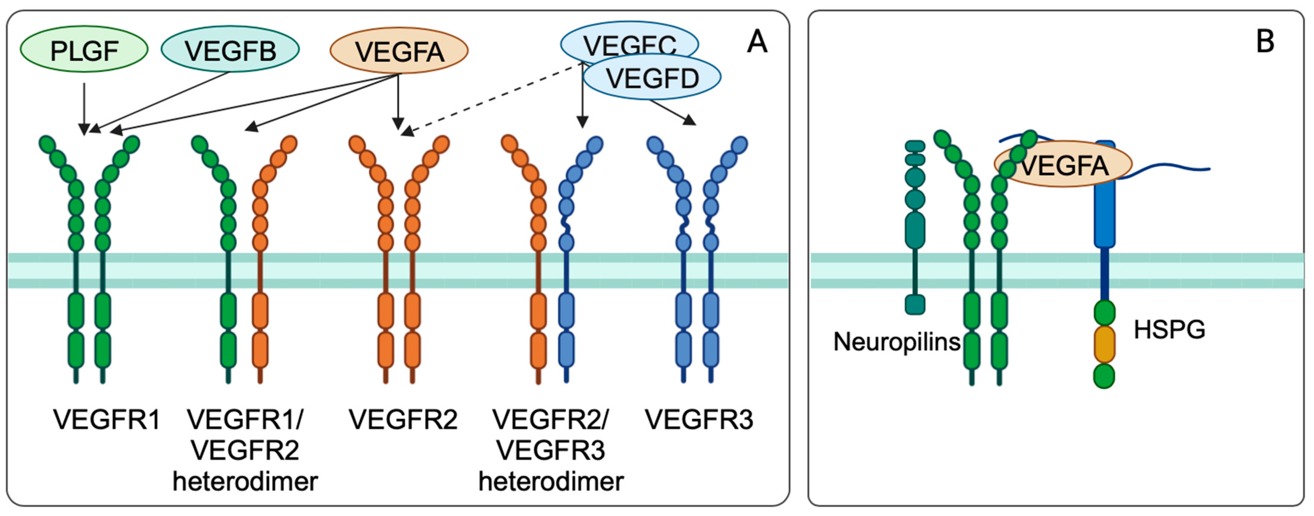 Cancers 16 00505 g008
