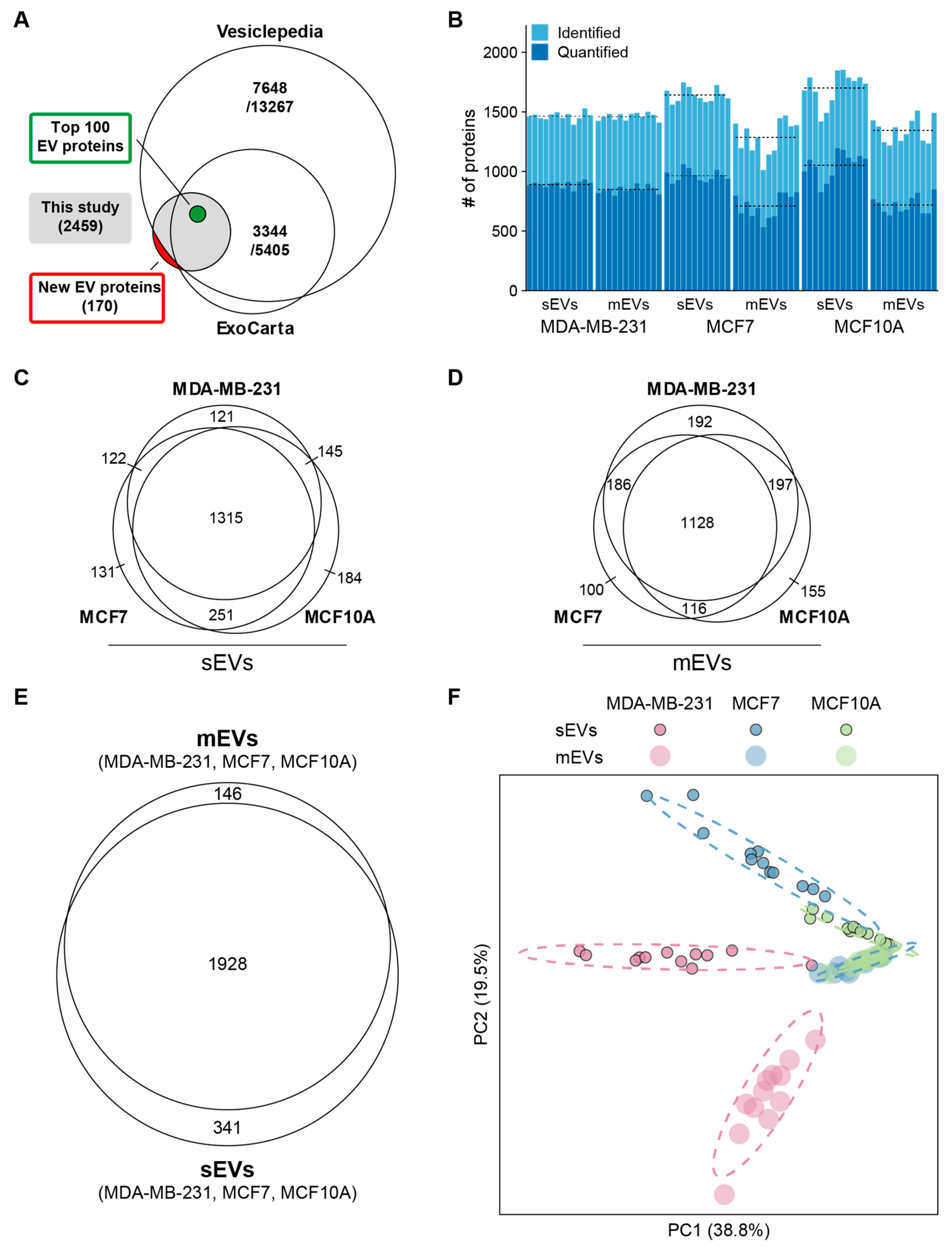 Cancers 16 00520 g002