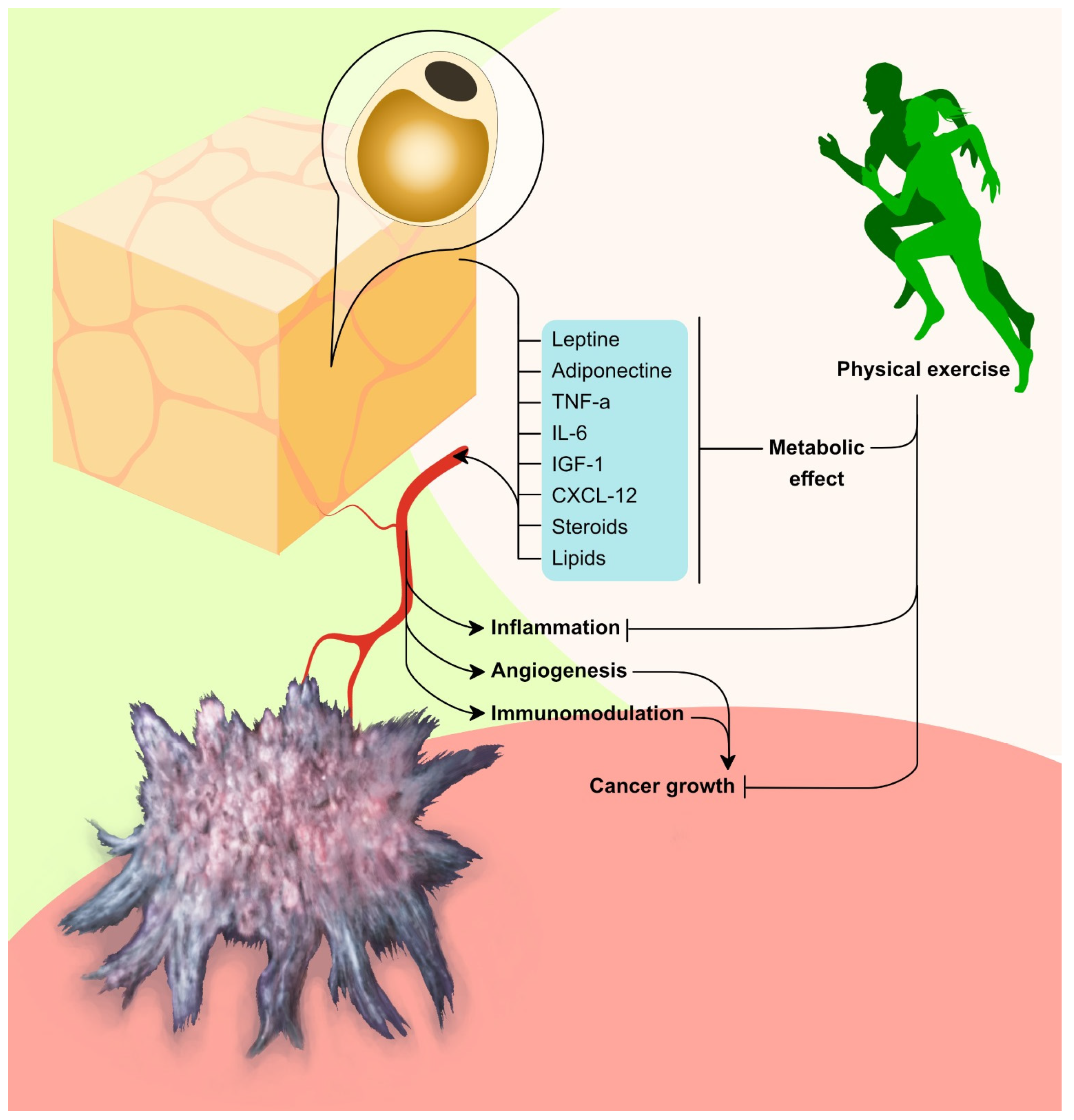 Cancers 16 00521 g001 Cancers 16 00521 g001
