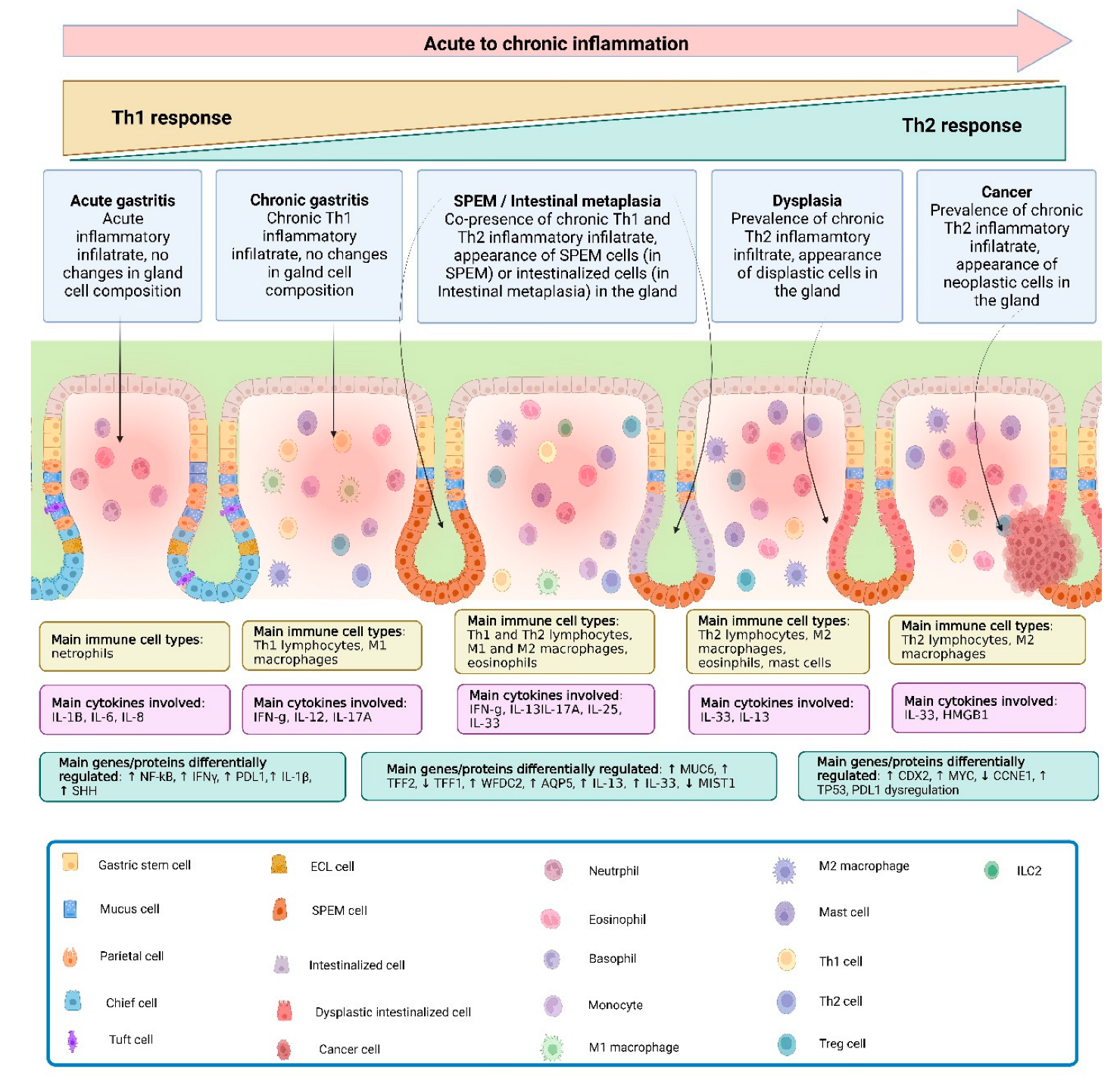 Cancers 16 00522 g001 Cancers 16 00522 g001