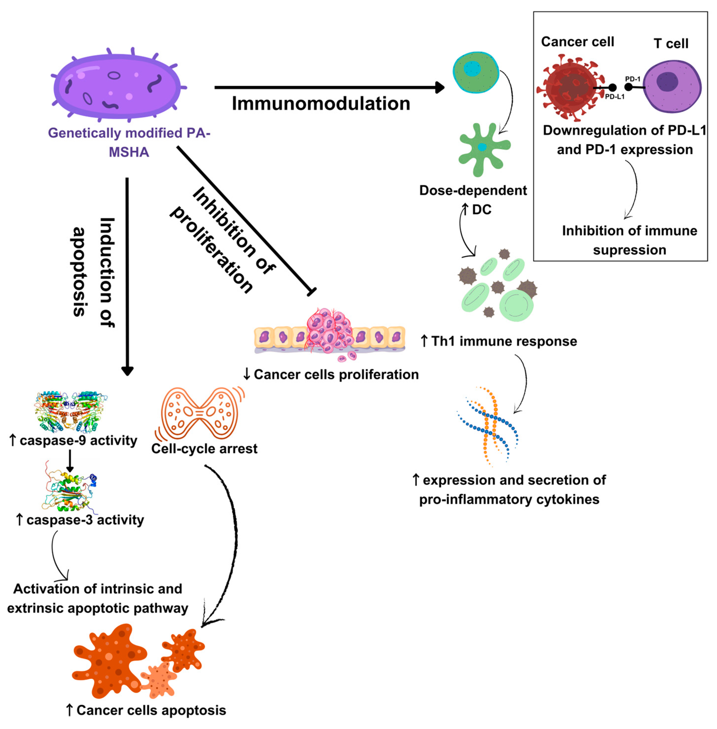Cancers 16 00524 g001 Cancers 16 00524 g001