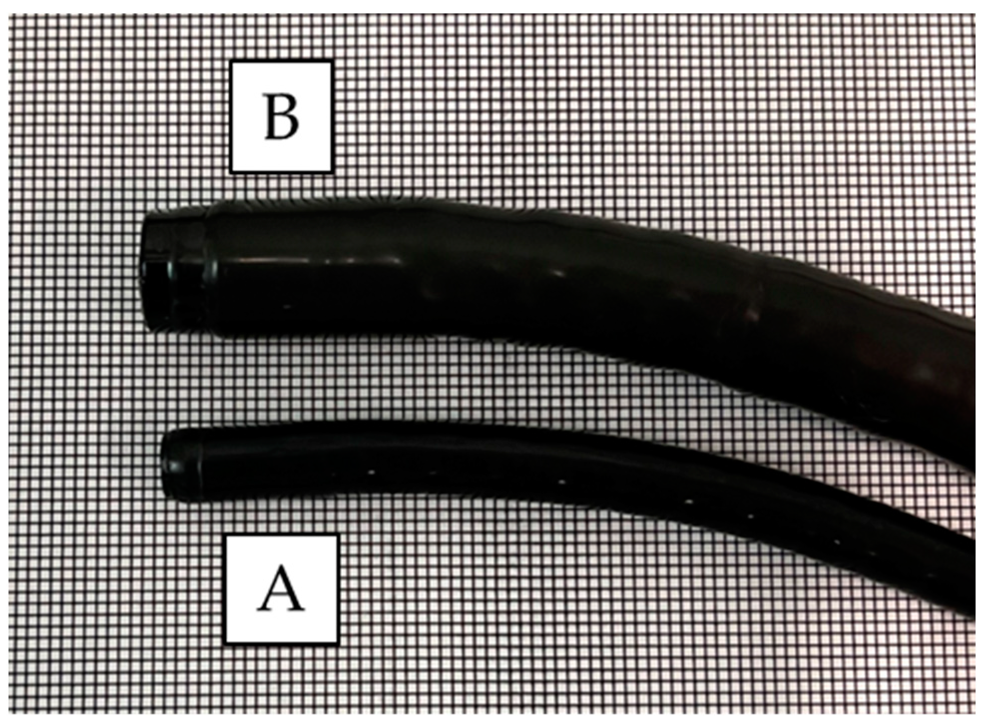 Cancers 16 00529 g001