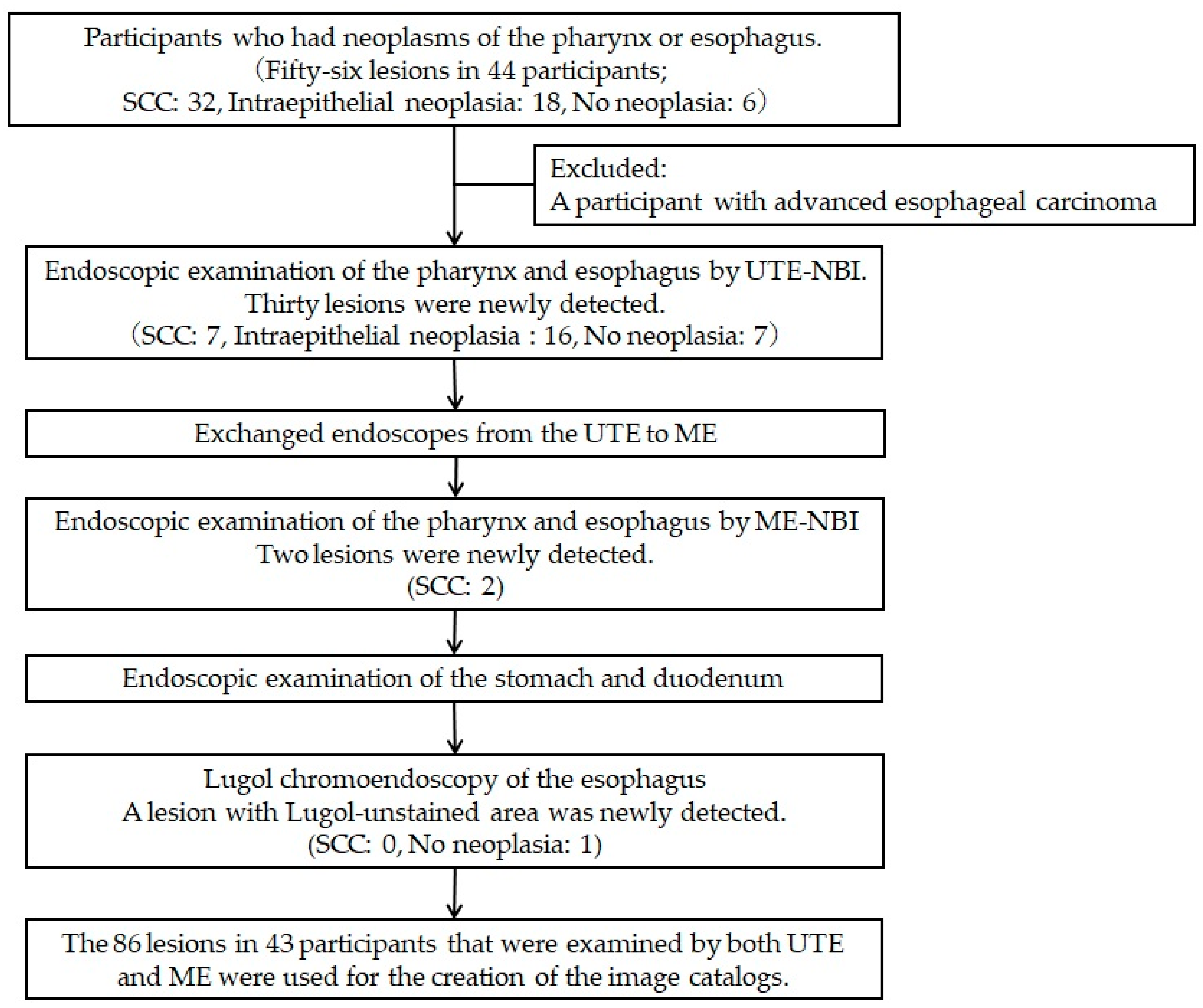 Cancers 16 00529 g002