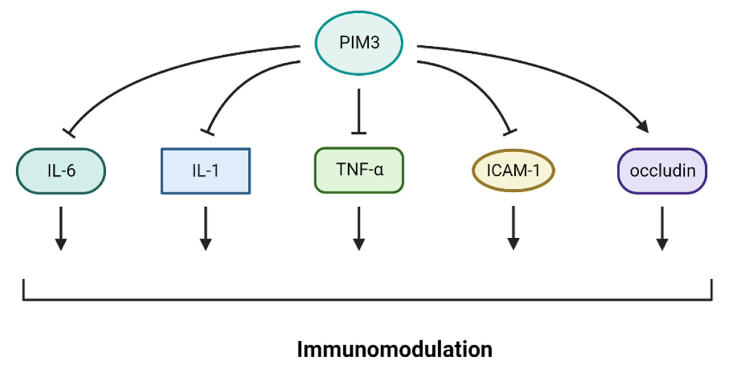 Cancers 16 00535 g003 Cancers 16 00535 g003