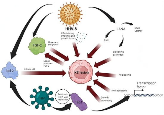 Cancers | Free Full-Text | Cancer and HIV: The Molecular Mechanisms of the  Deadly Duo