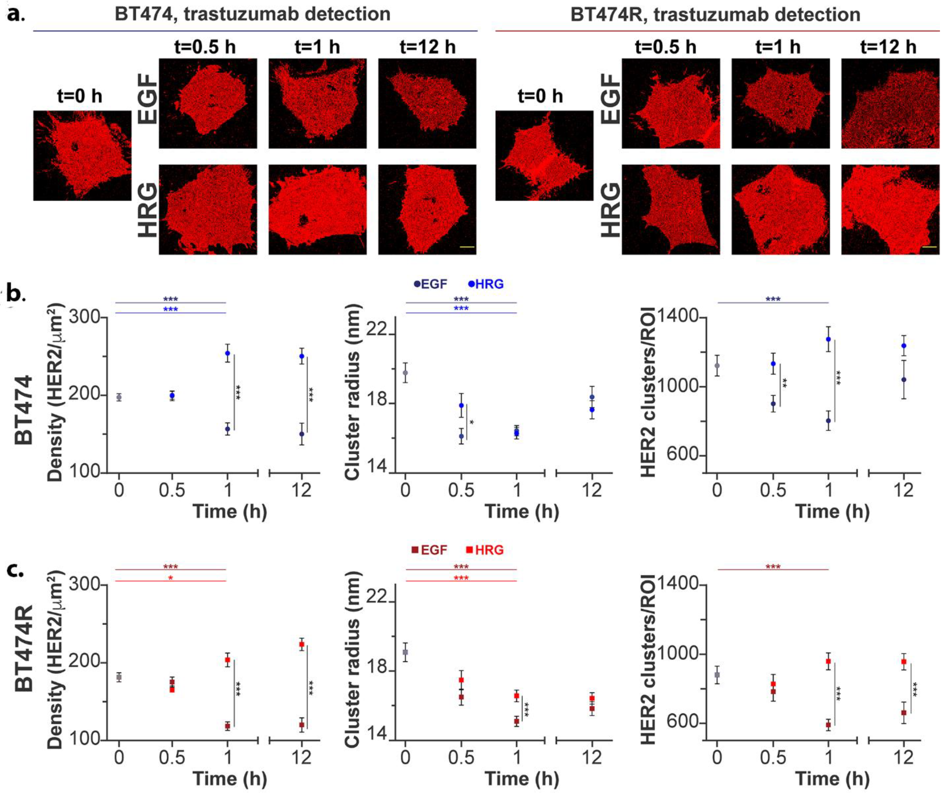 Cancers 16 00553 g002