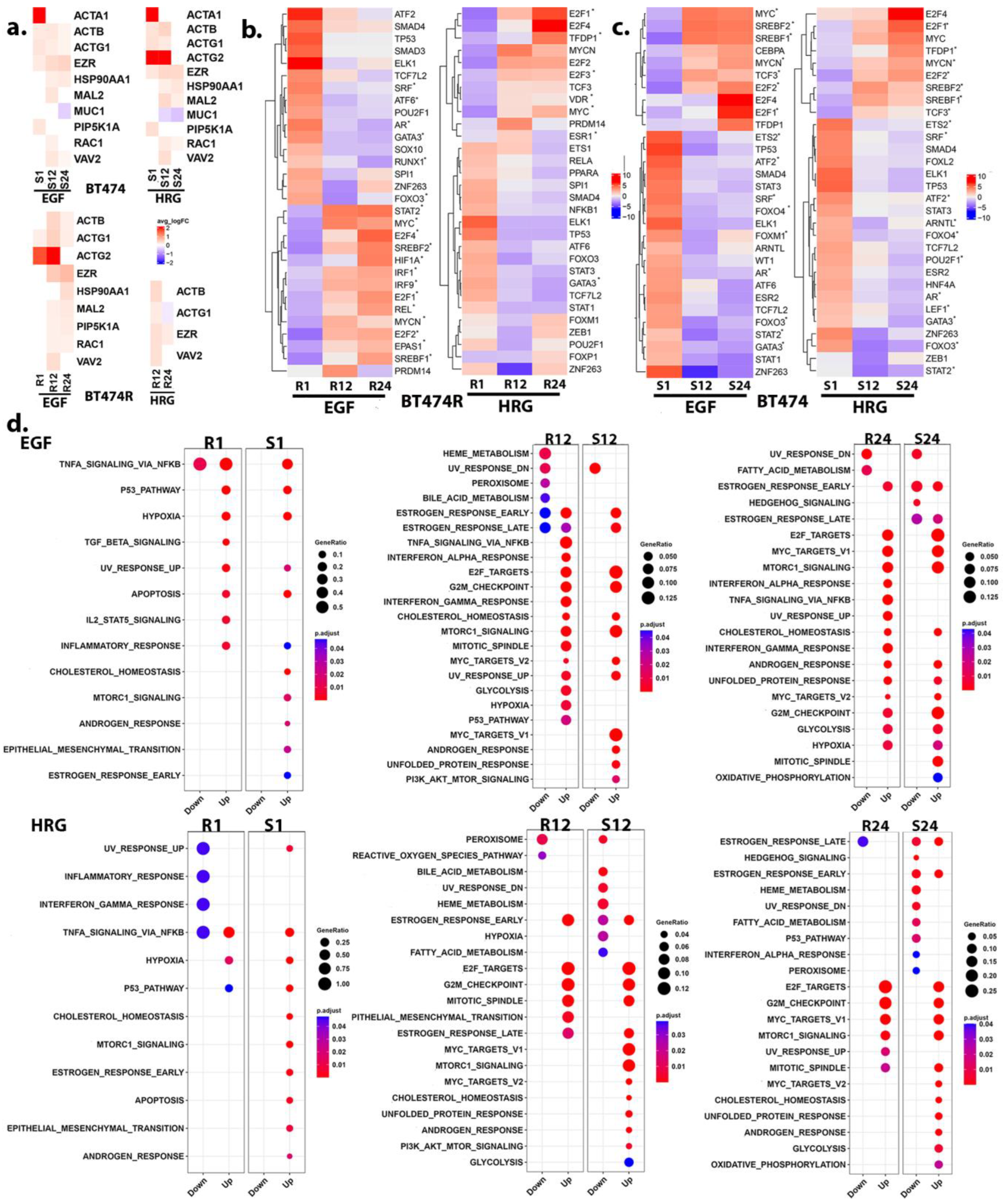 Cancers 16 00553 g003