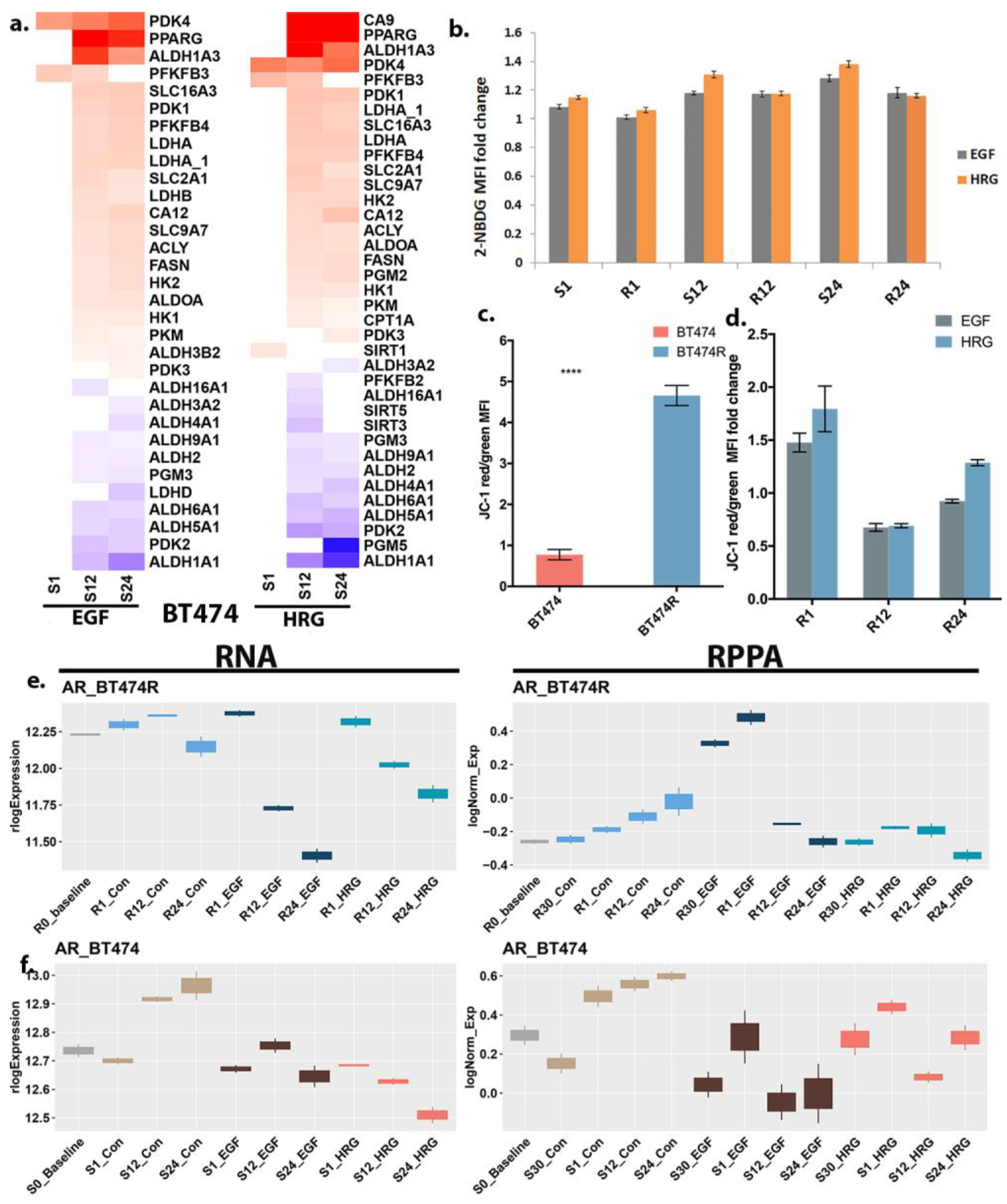 Cancers 16 00553 g004
