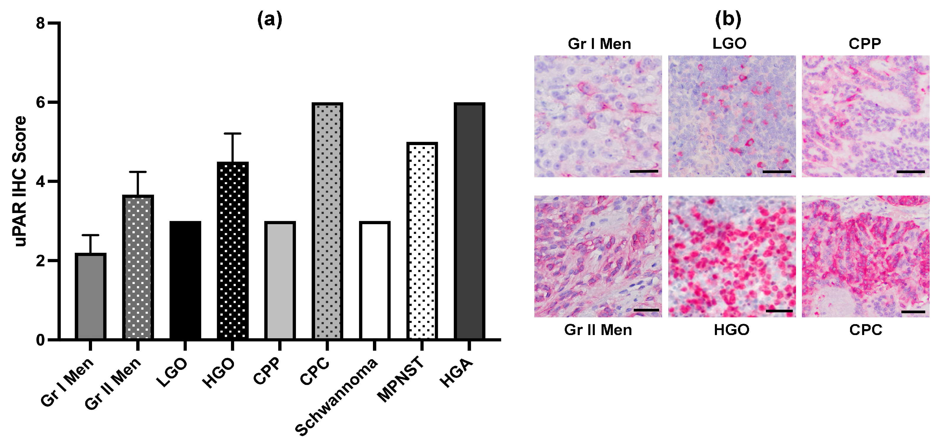 Cancers 16 00564 g002