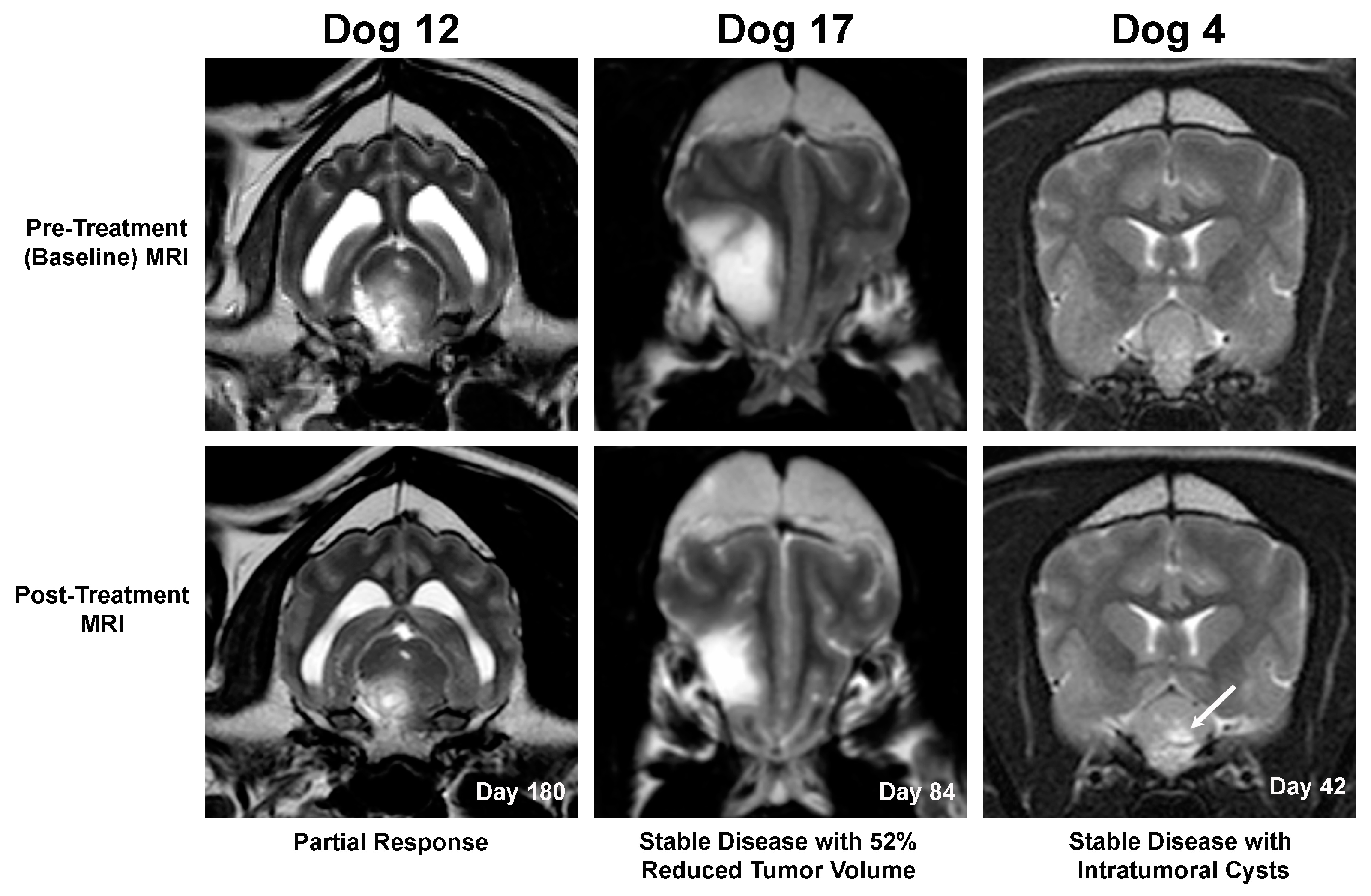 Cancers 16 00564 g004