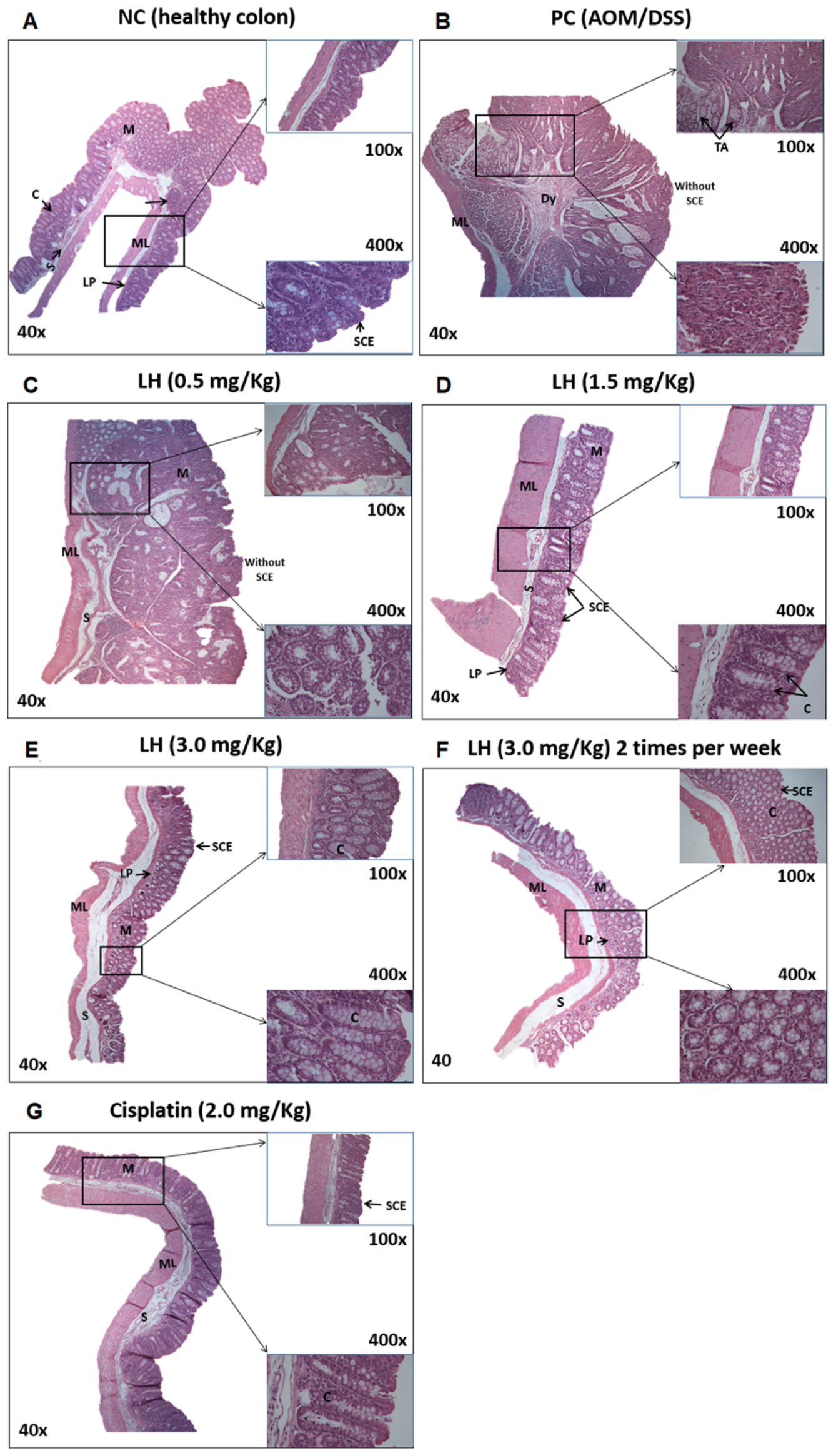 Cancers 16 00573 g005