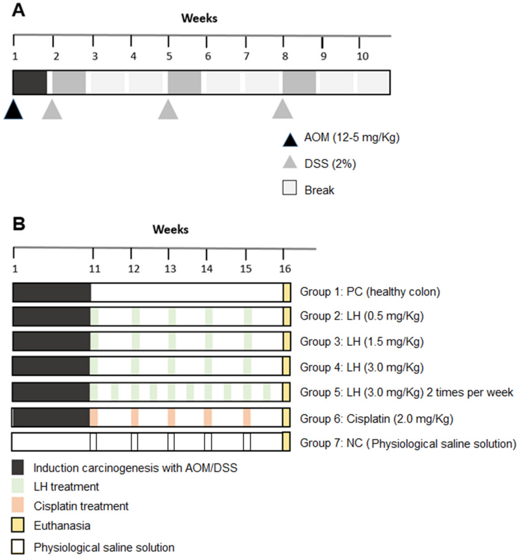 Cancers 16 00573 g008