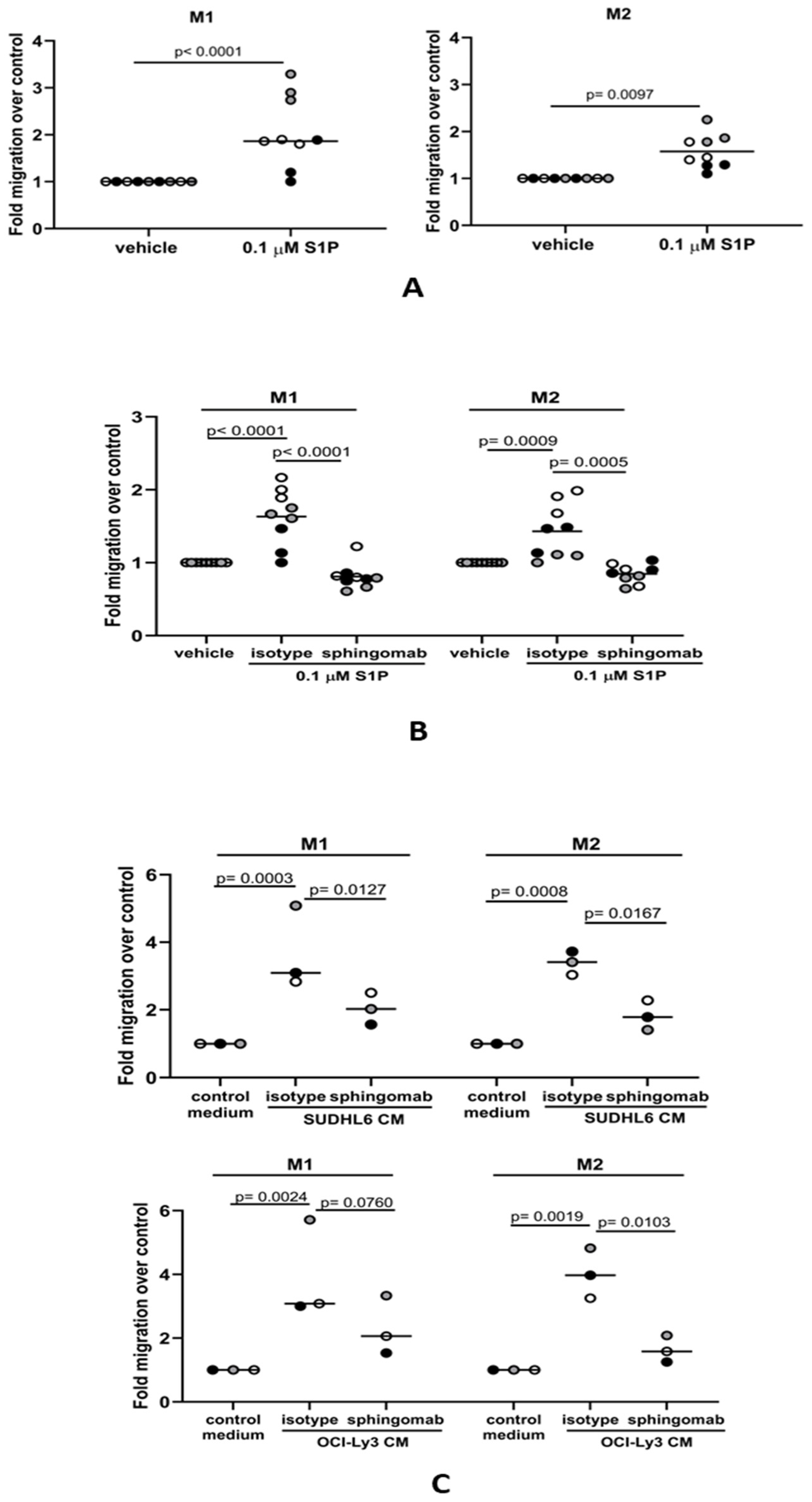 Cancers 16 00574 g003