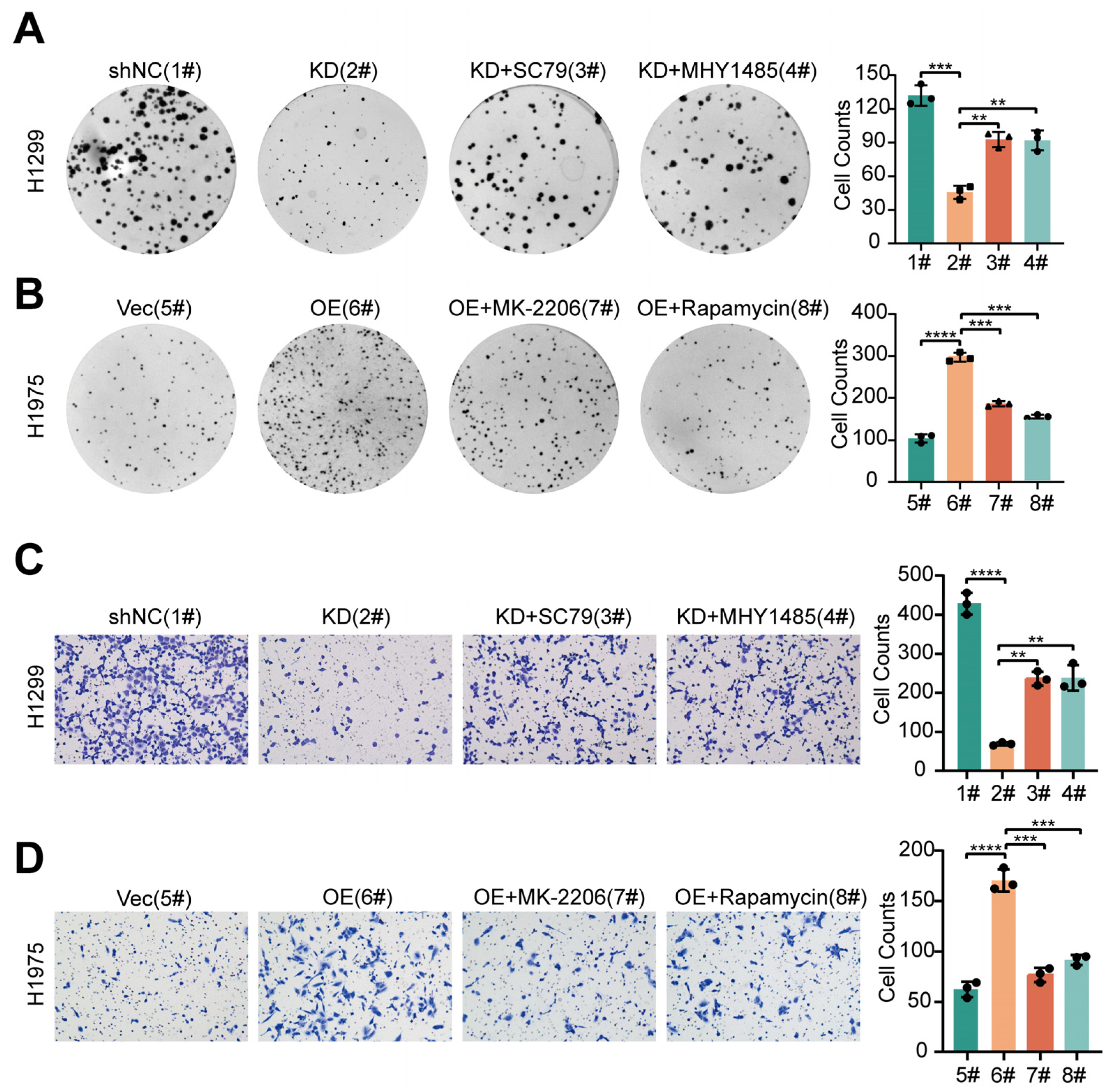 Cancers 16 00590 g006