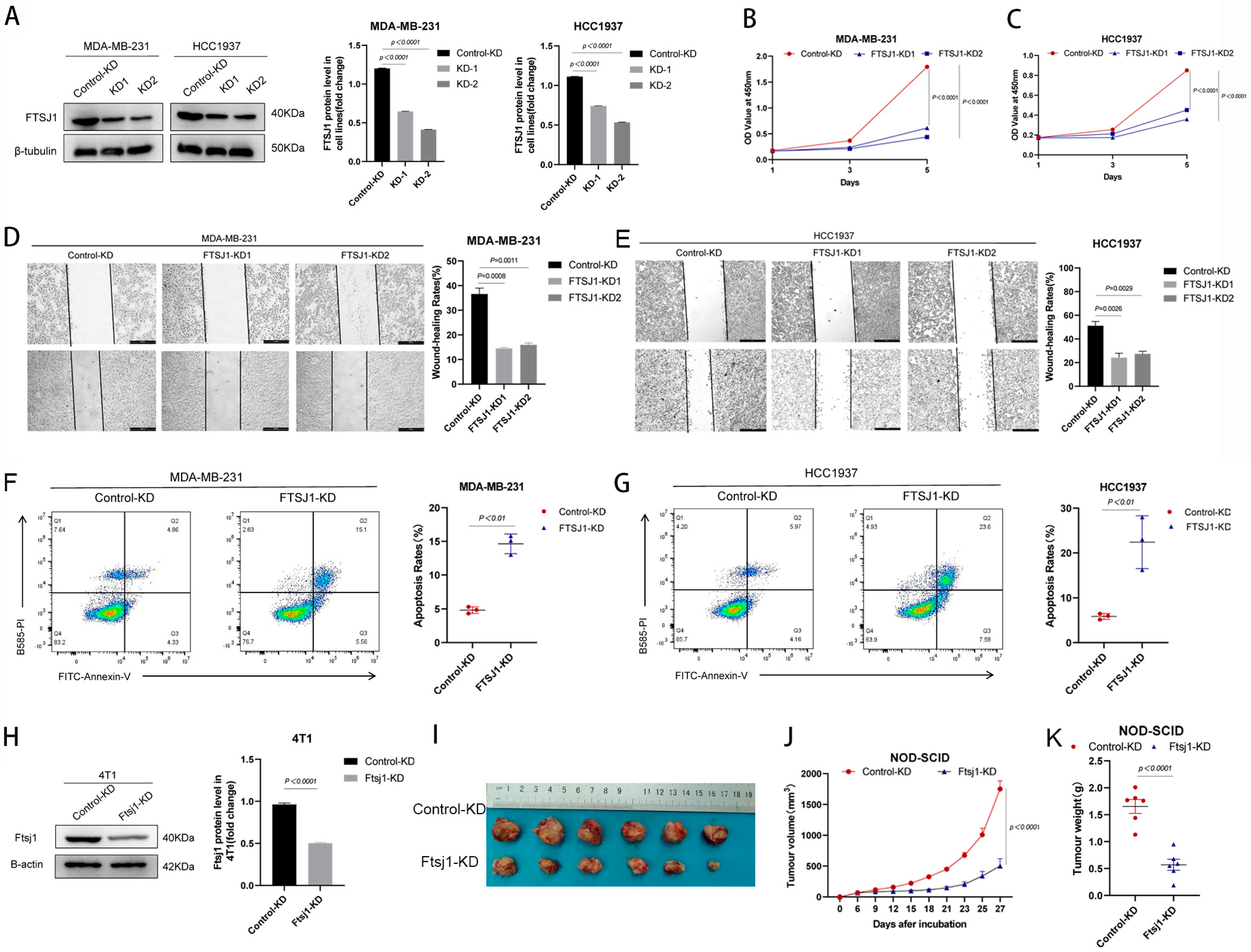 Cancers 16 00597 g002