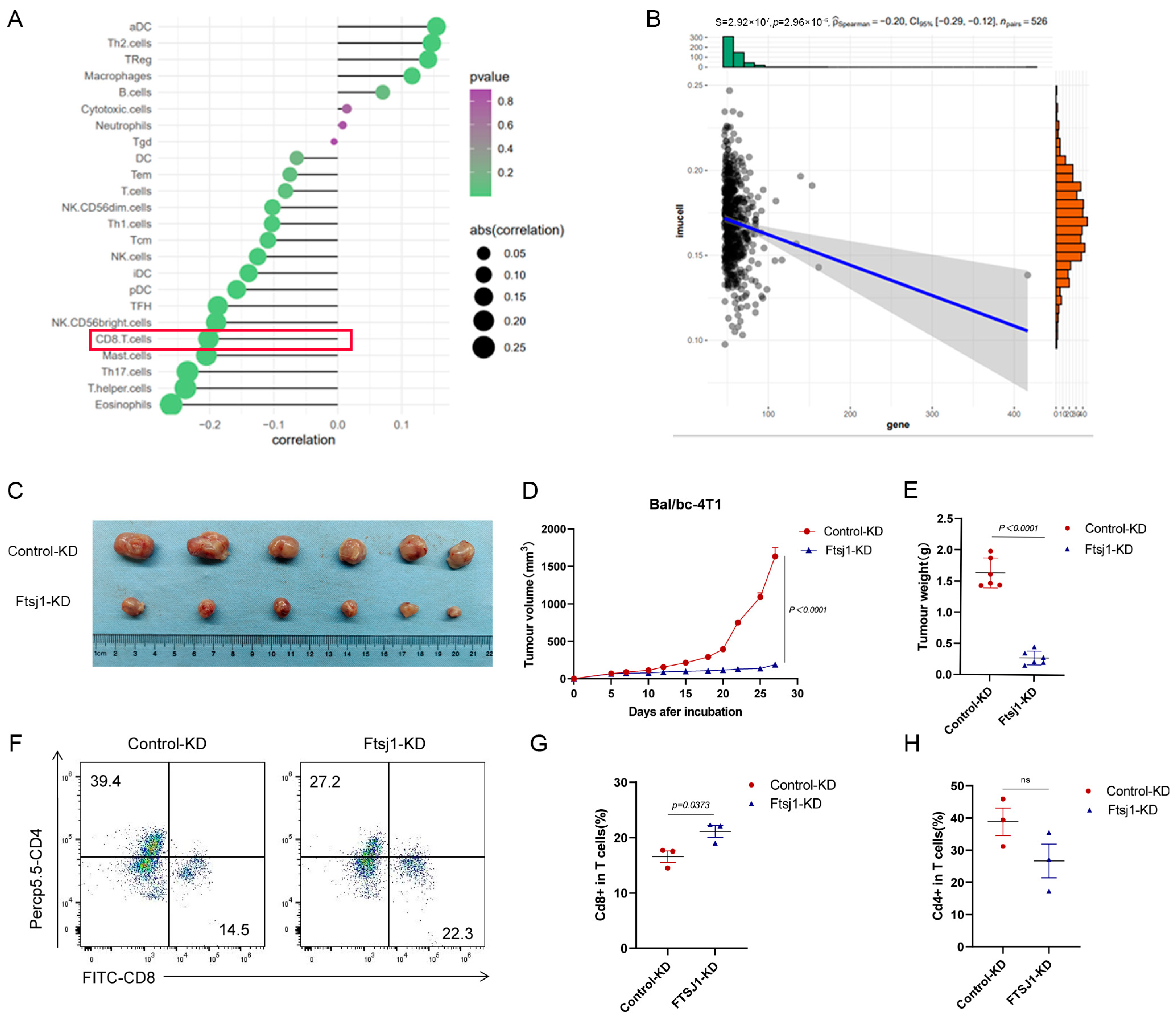 Cancers 16 00597 g003