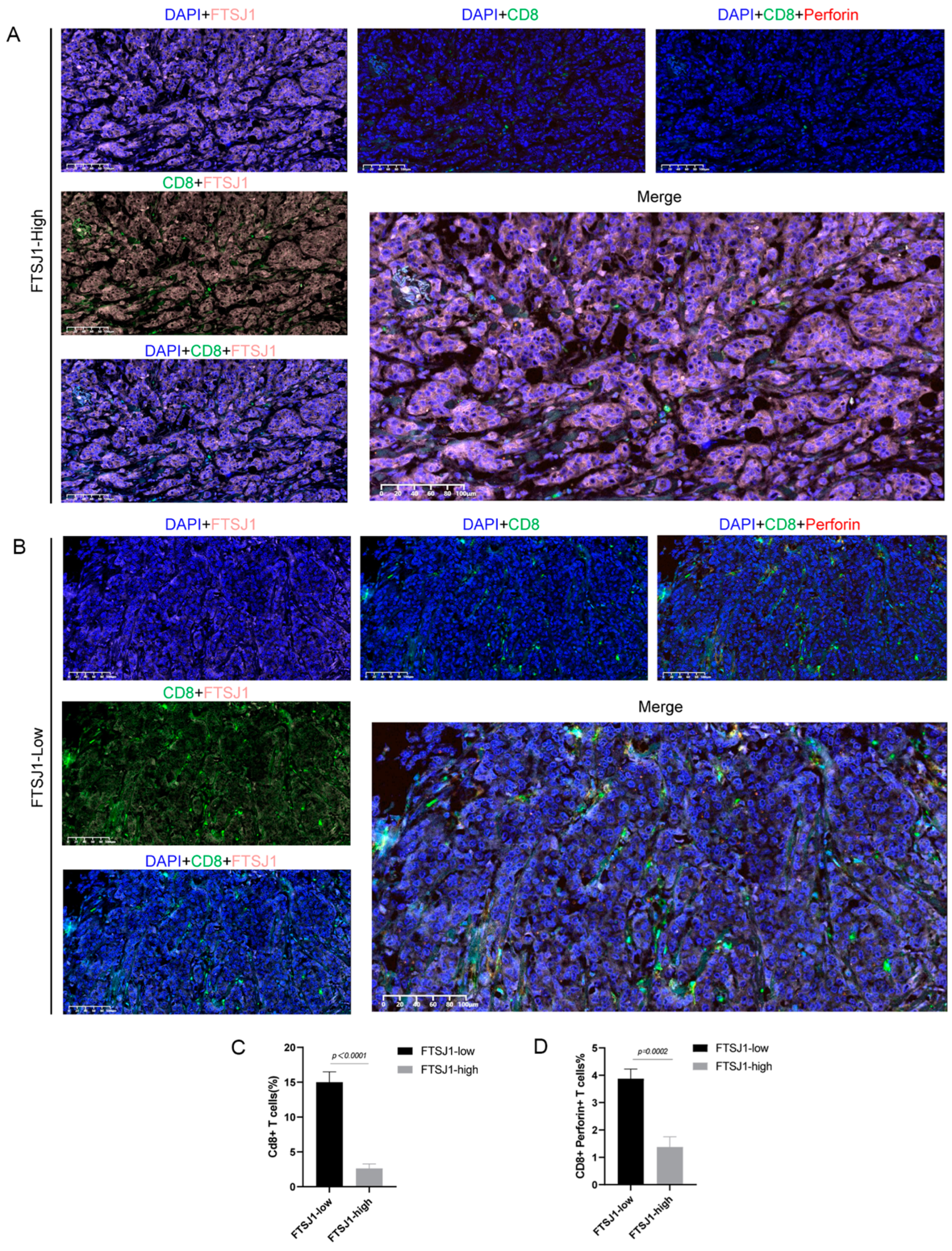 Cancers 16 00597 g004