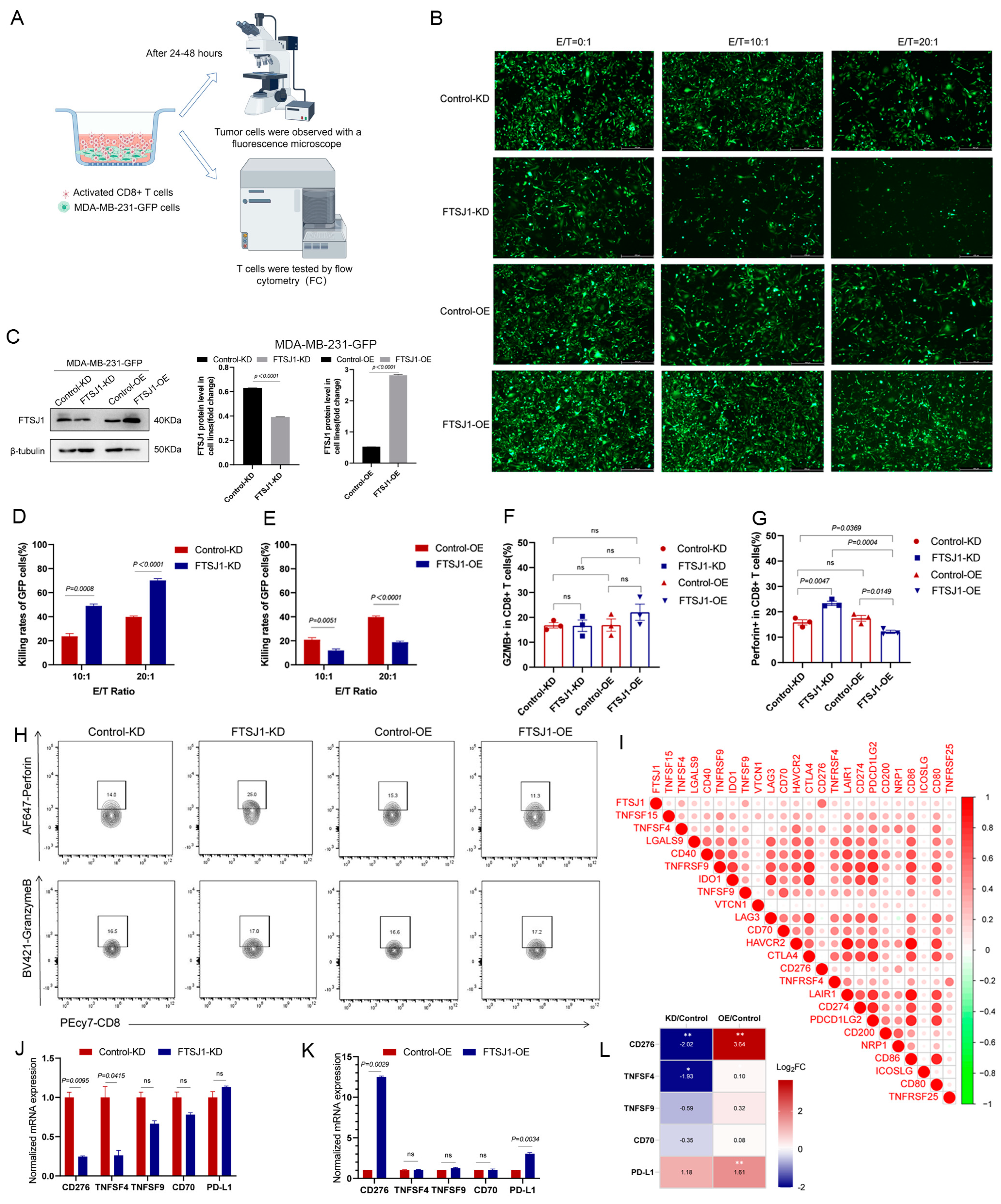 Cancers 16 00597 g005
