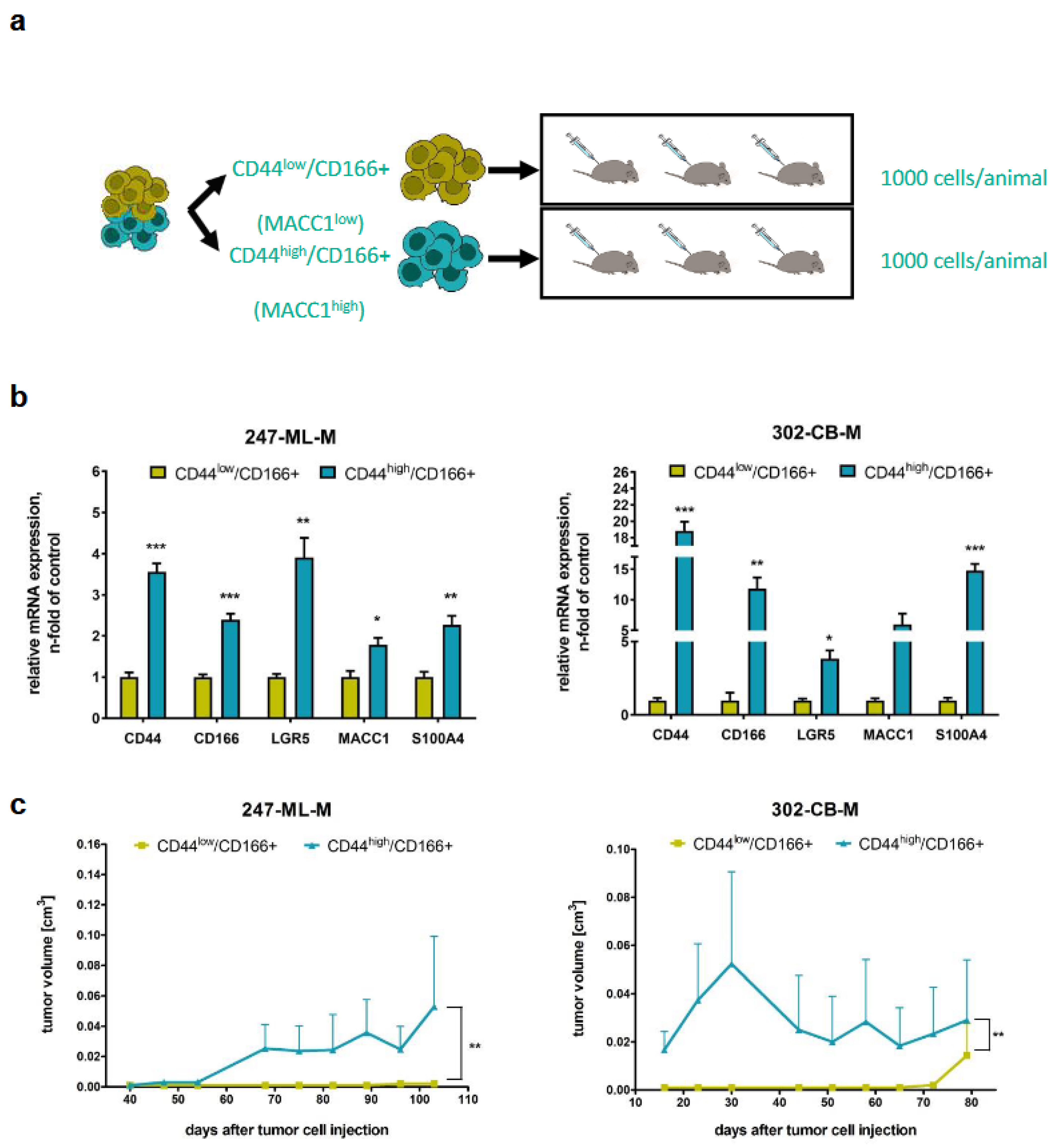 Cancers 16 00604 g003