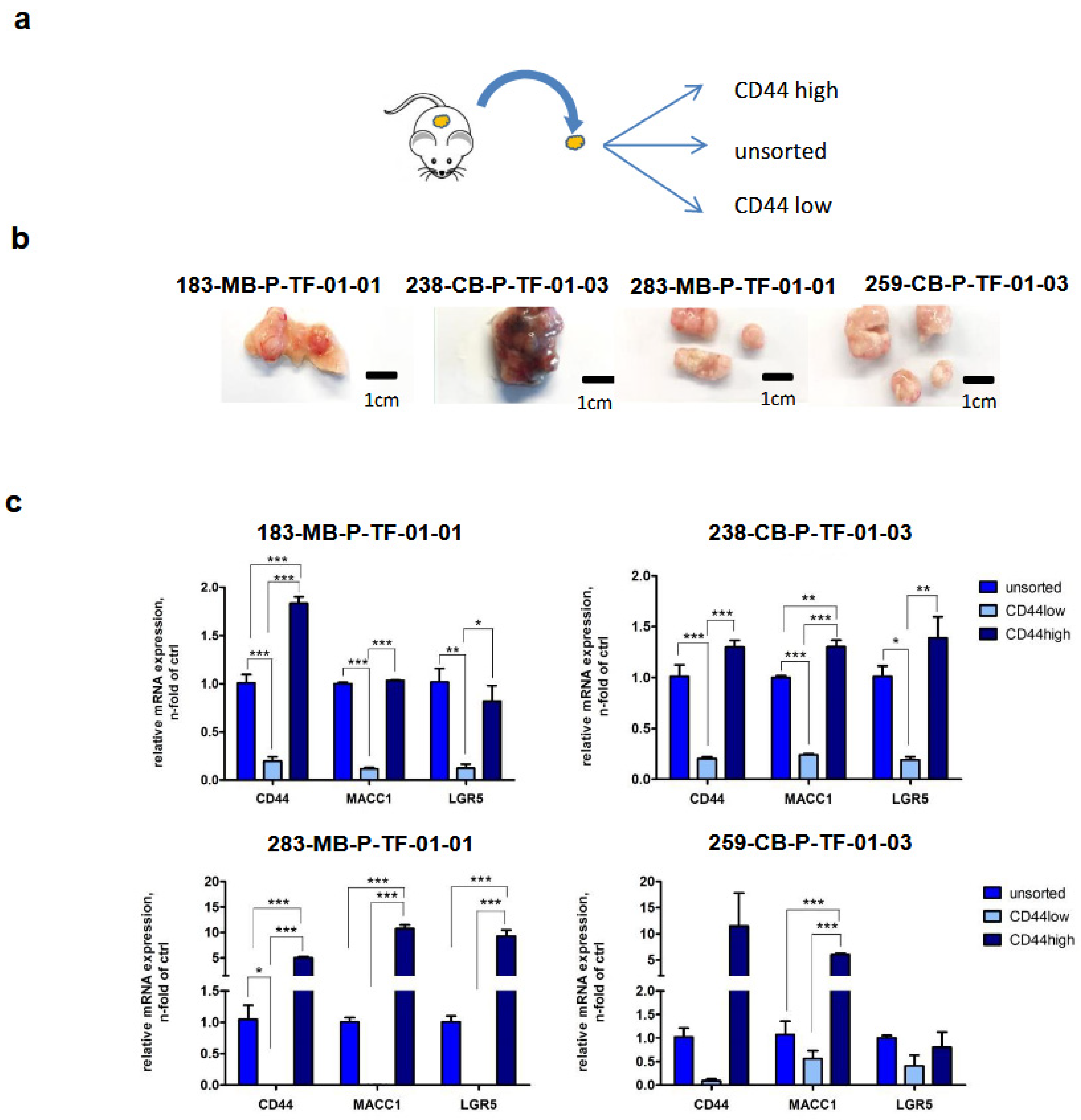 Cancers 16 00604 g007