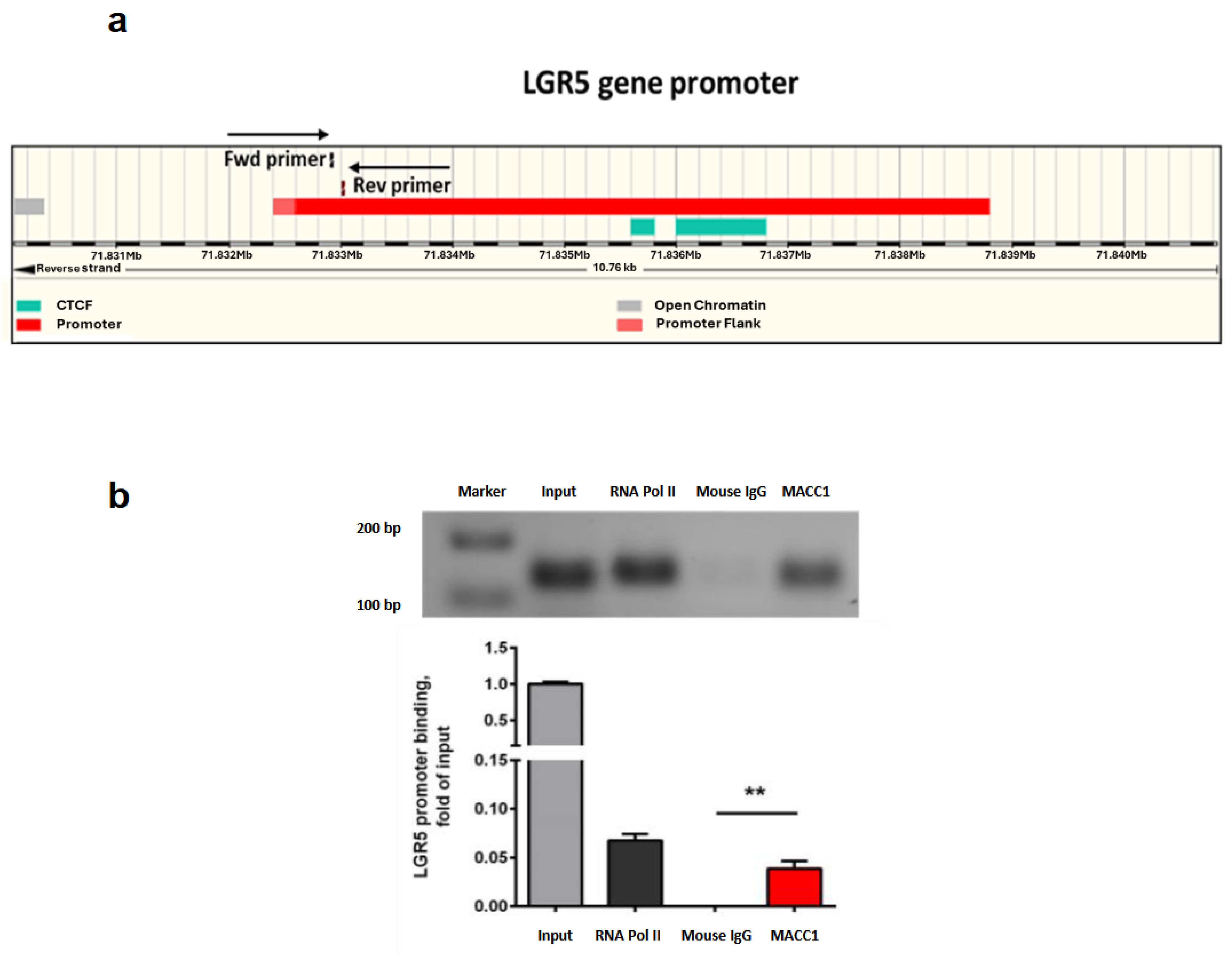 Cancers 16 00604 g008