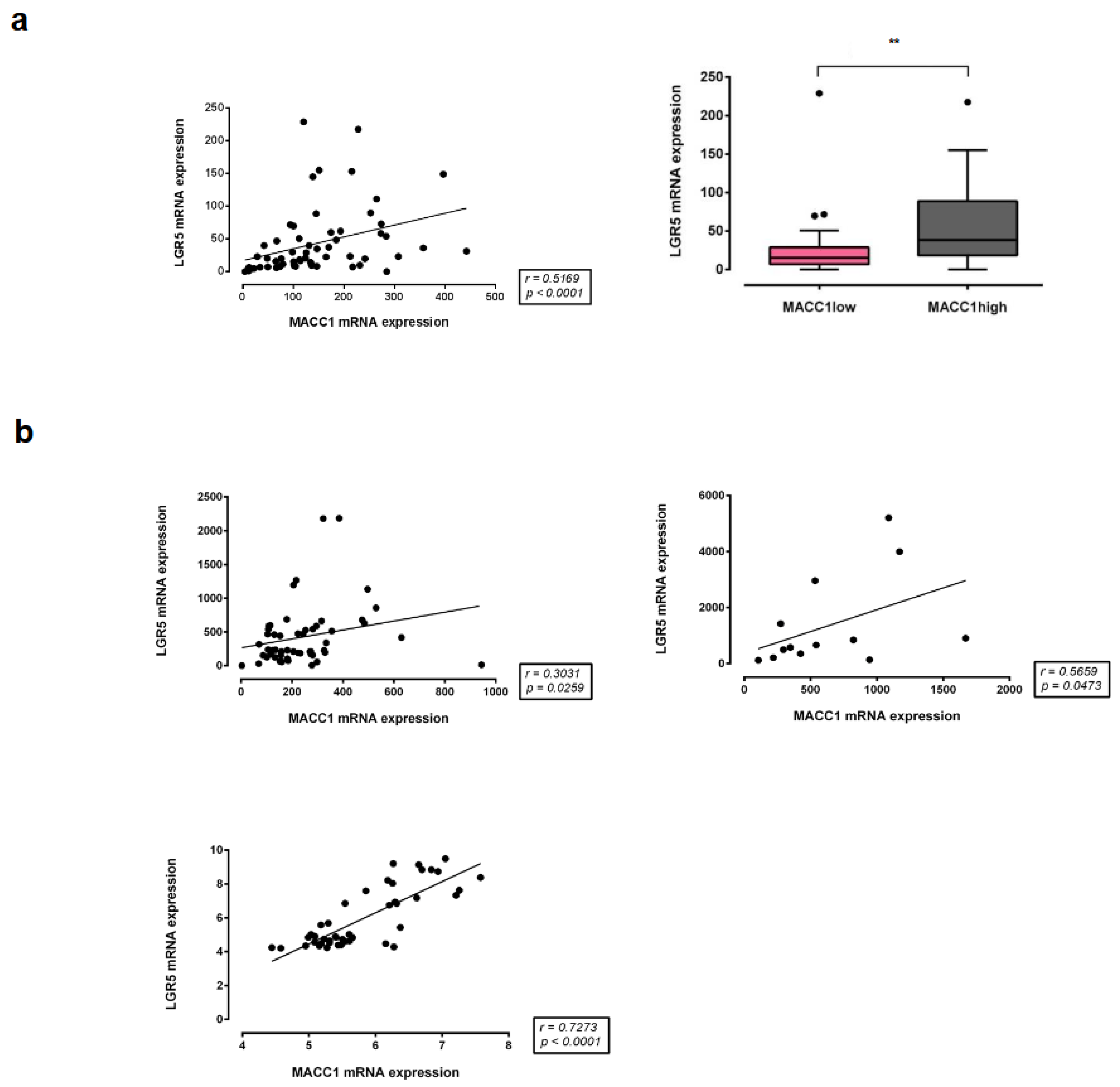 Cancers 16 00604 g009