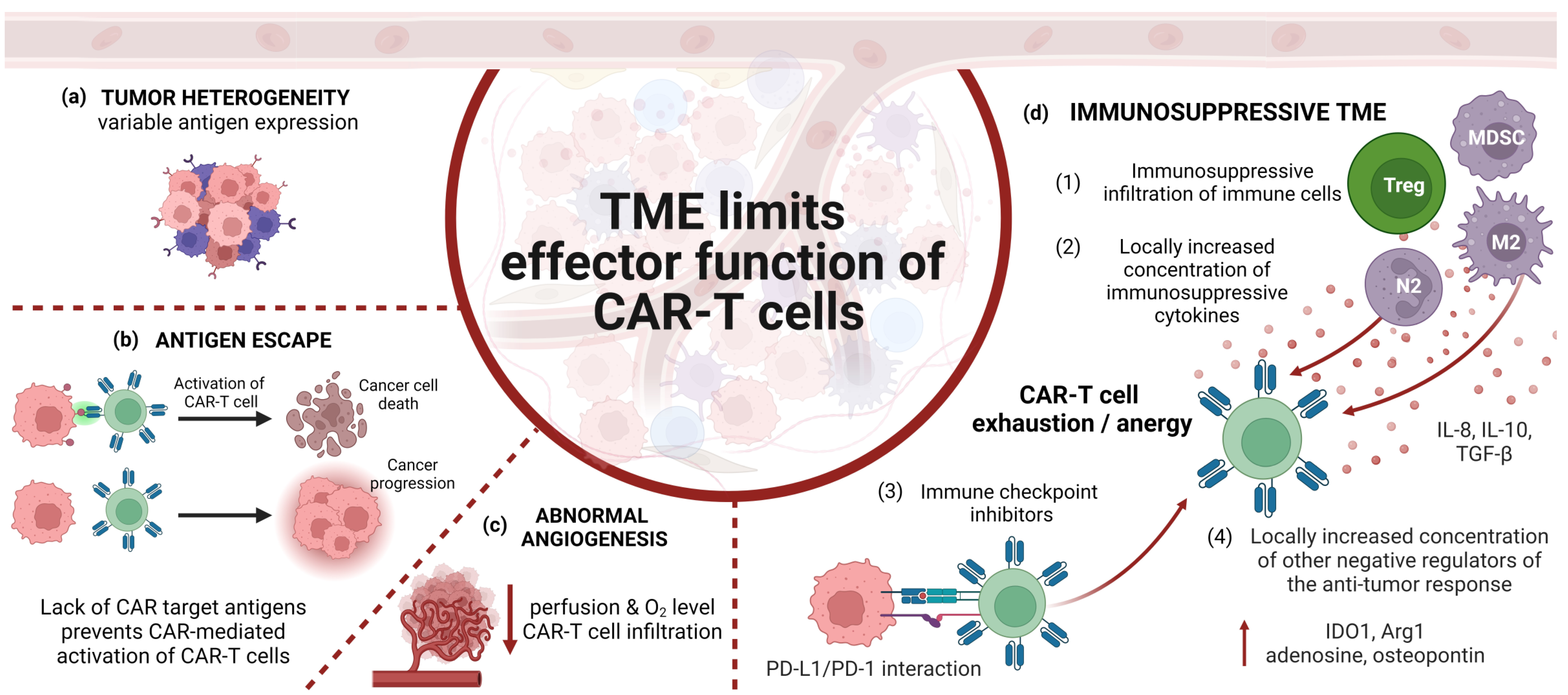 Cancers 16 00623 g003