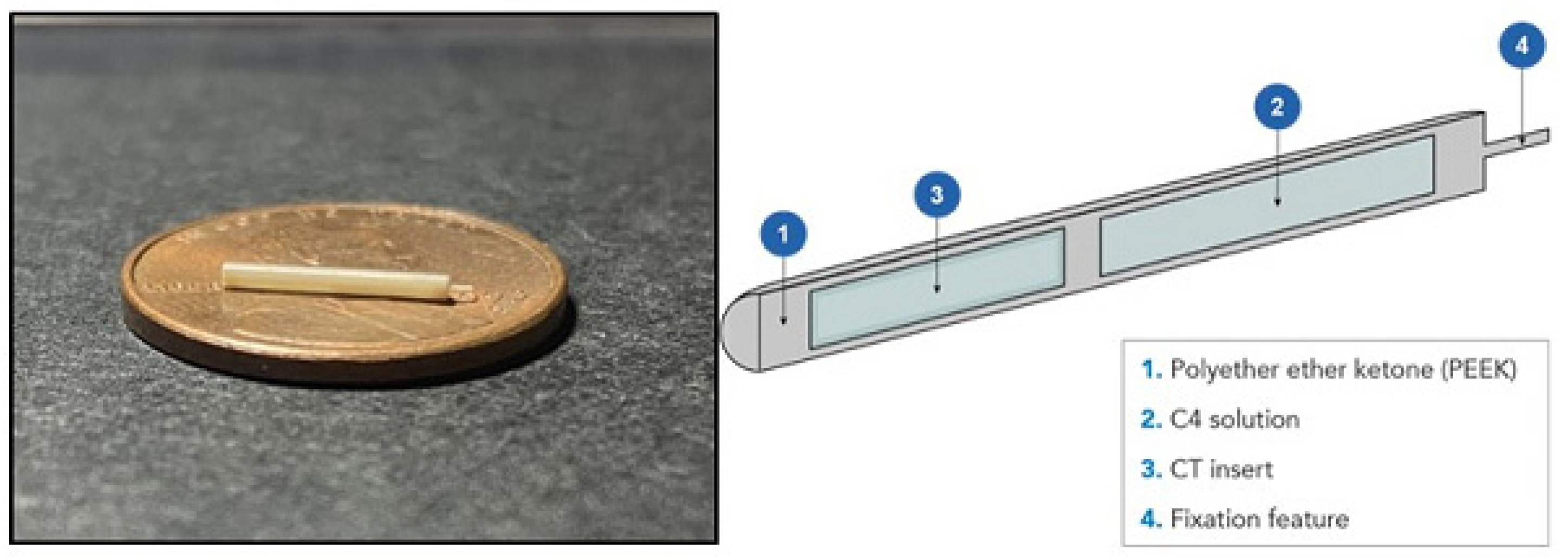 Cancers 16 00625 g0a1