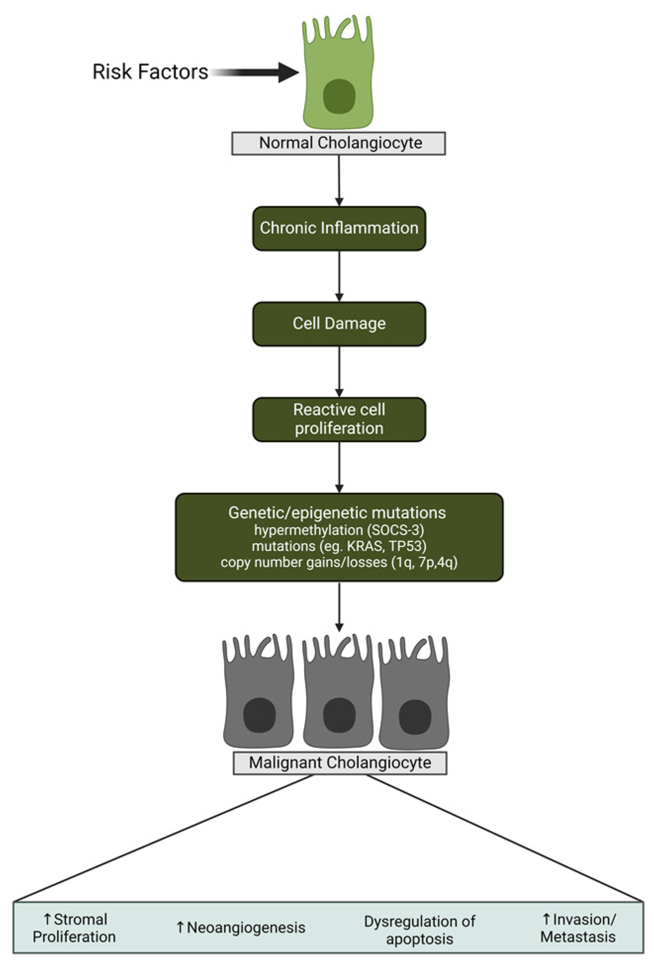 Cancers 16 00632 g001