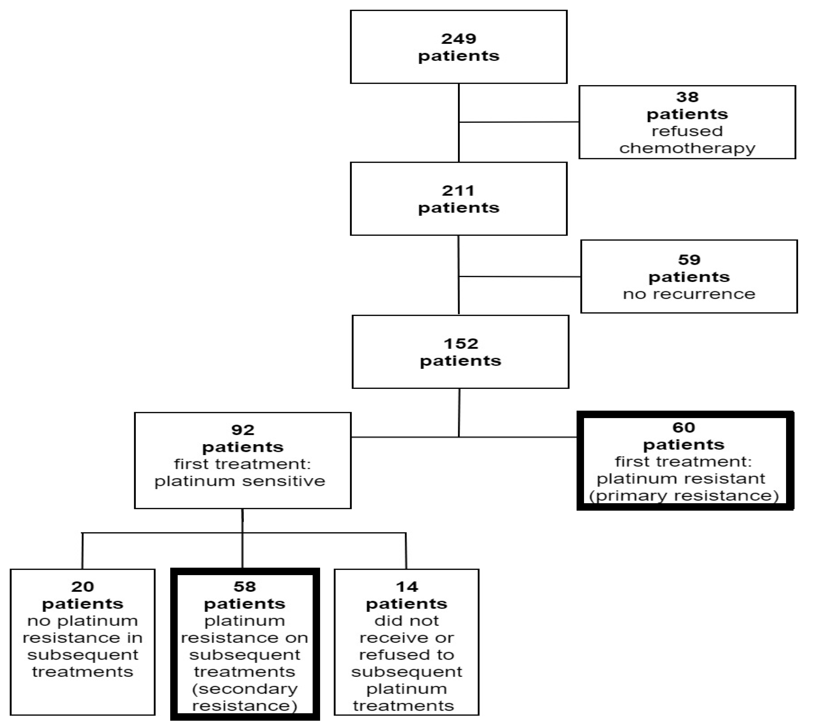 Cancers 16 00641 g001