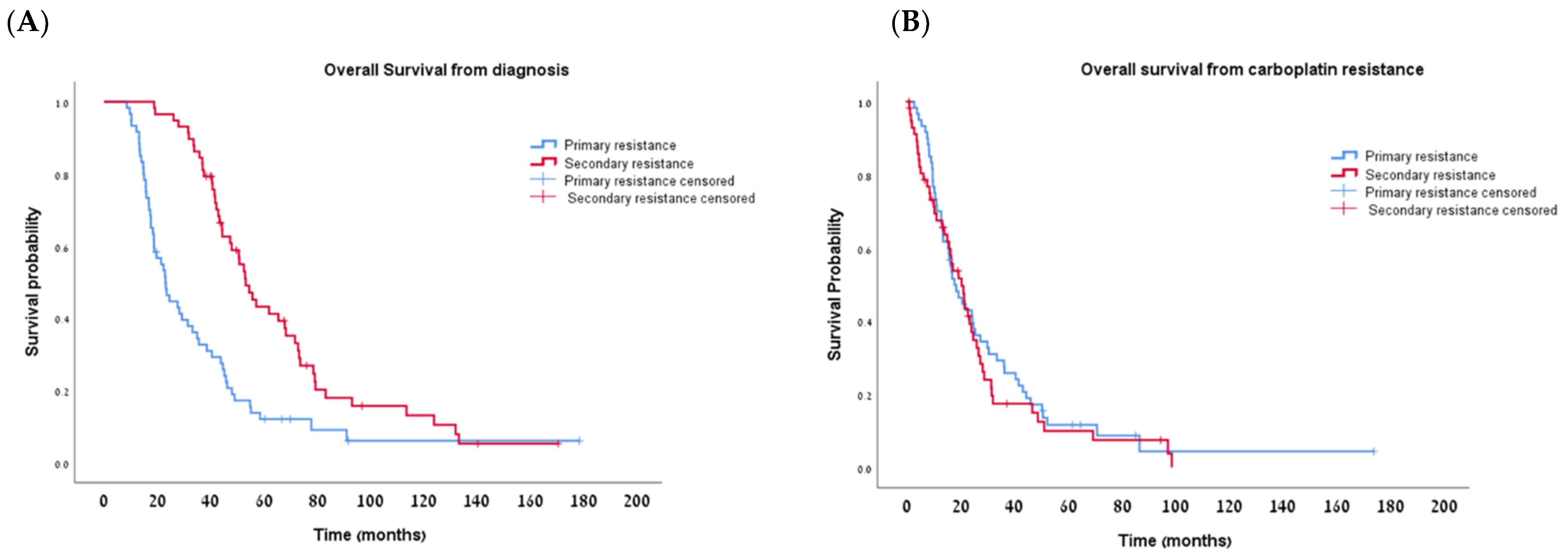 Cancers 16 00641 g004