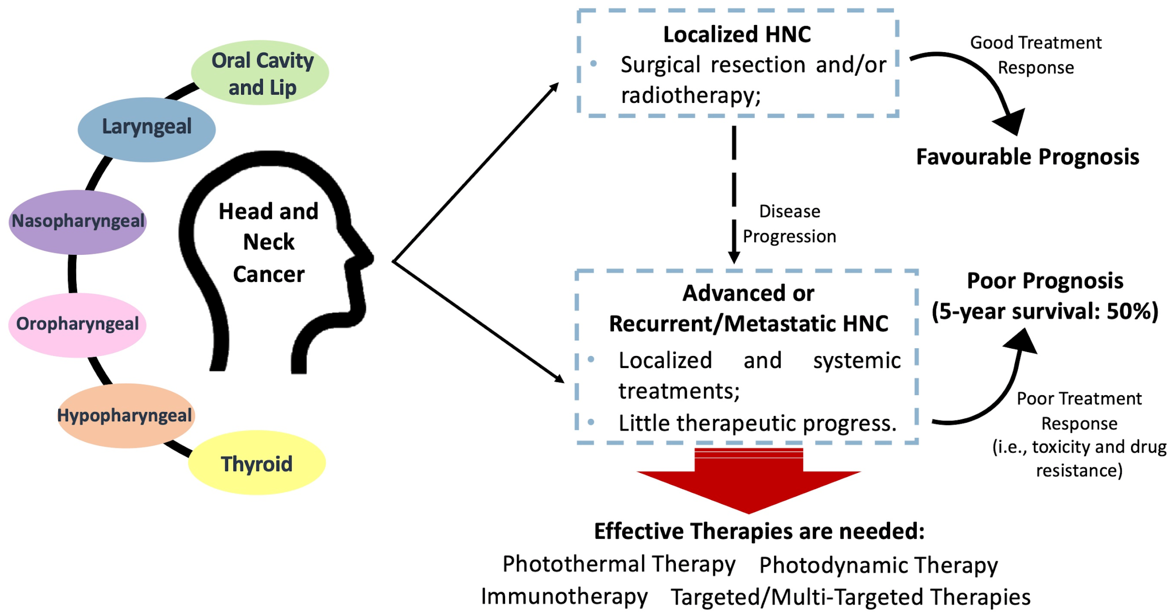 Cancers 16 00645 g001 Cancers 16 00645 g001