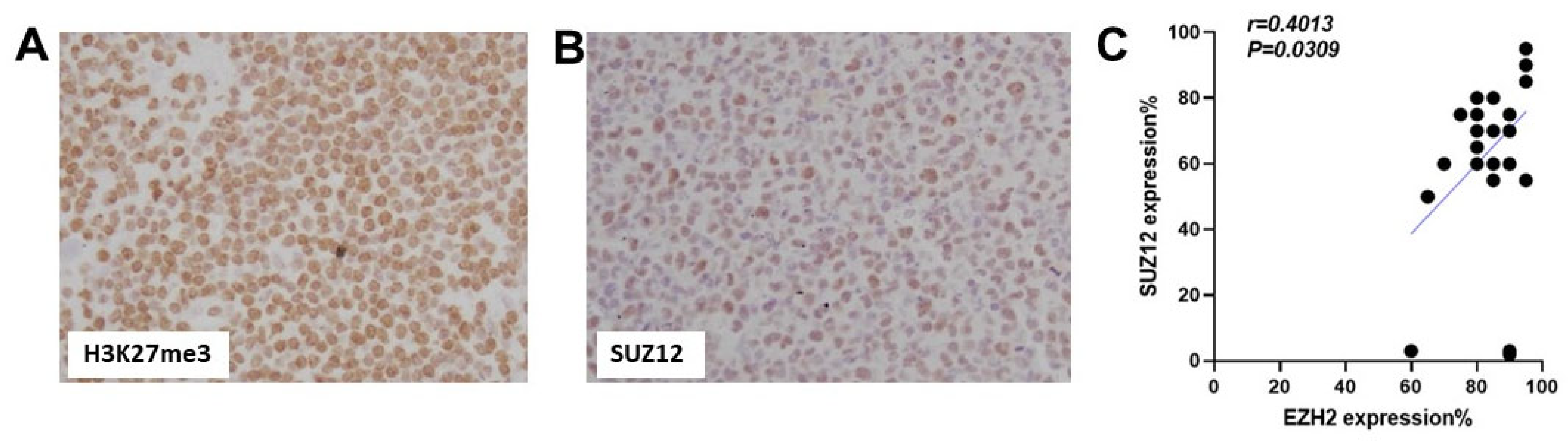 Cancers 16 00646 g004