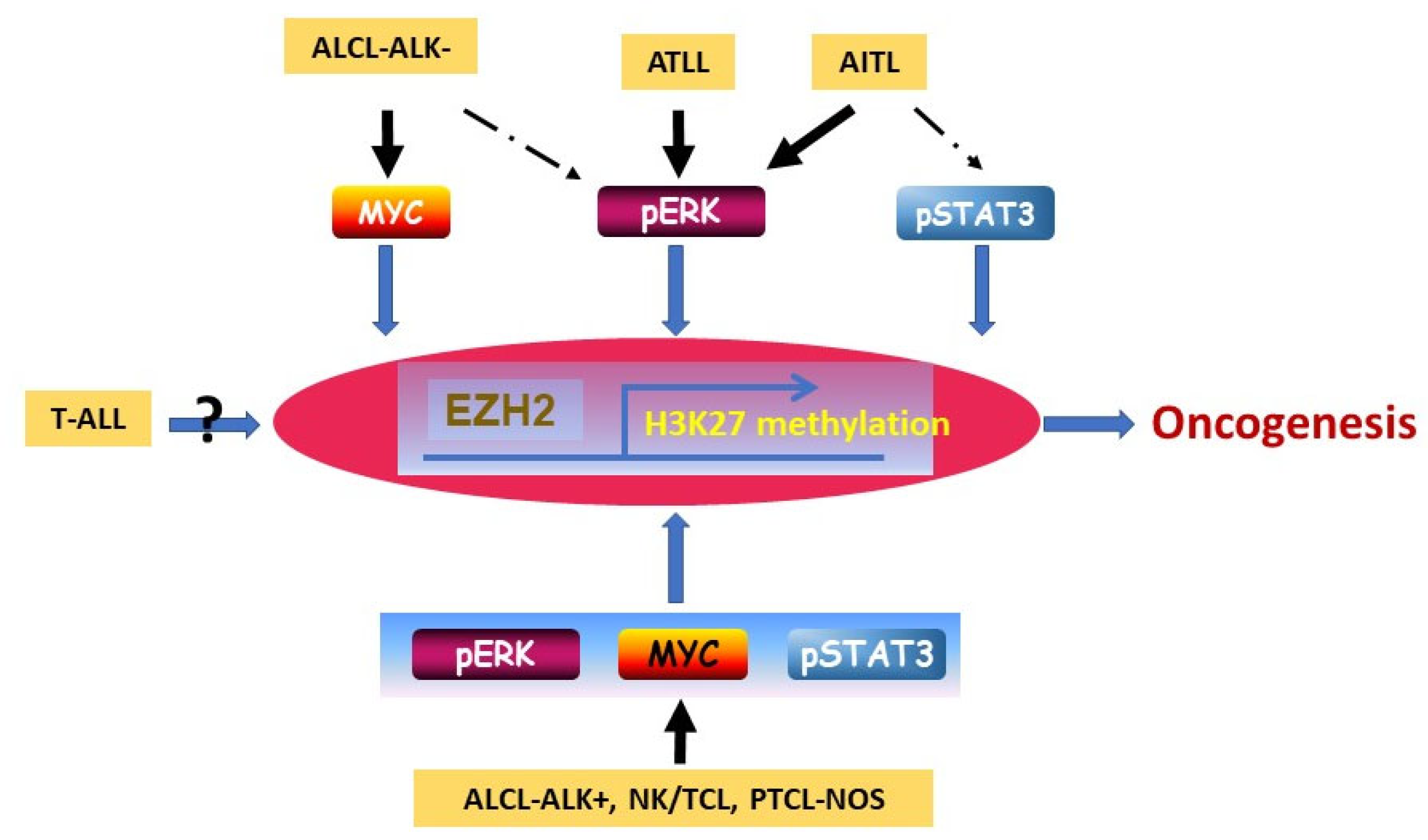 Cancers 16 00646 g005