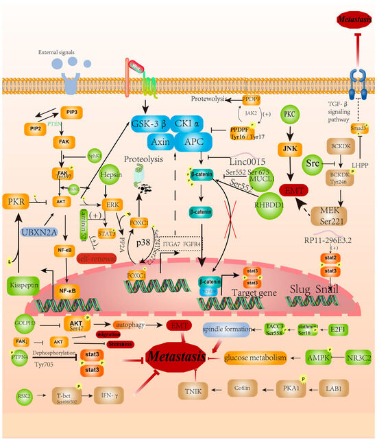 エマ 予約専用ページ Z/Xを予約してPRカードをもらおう！キャンペーン ネクサス